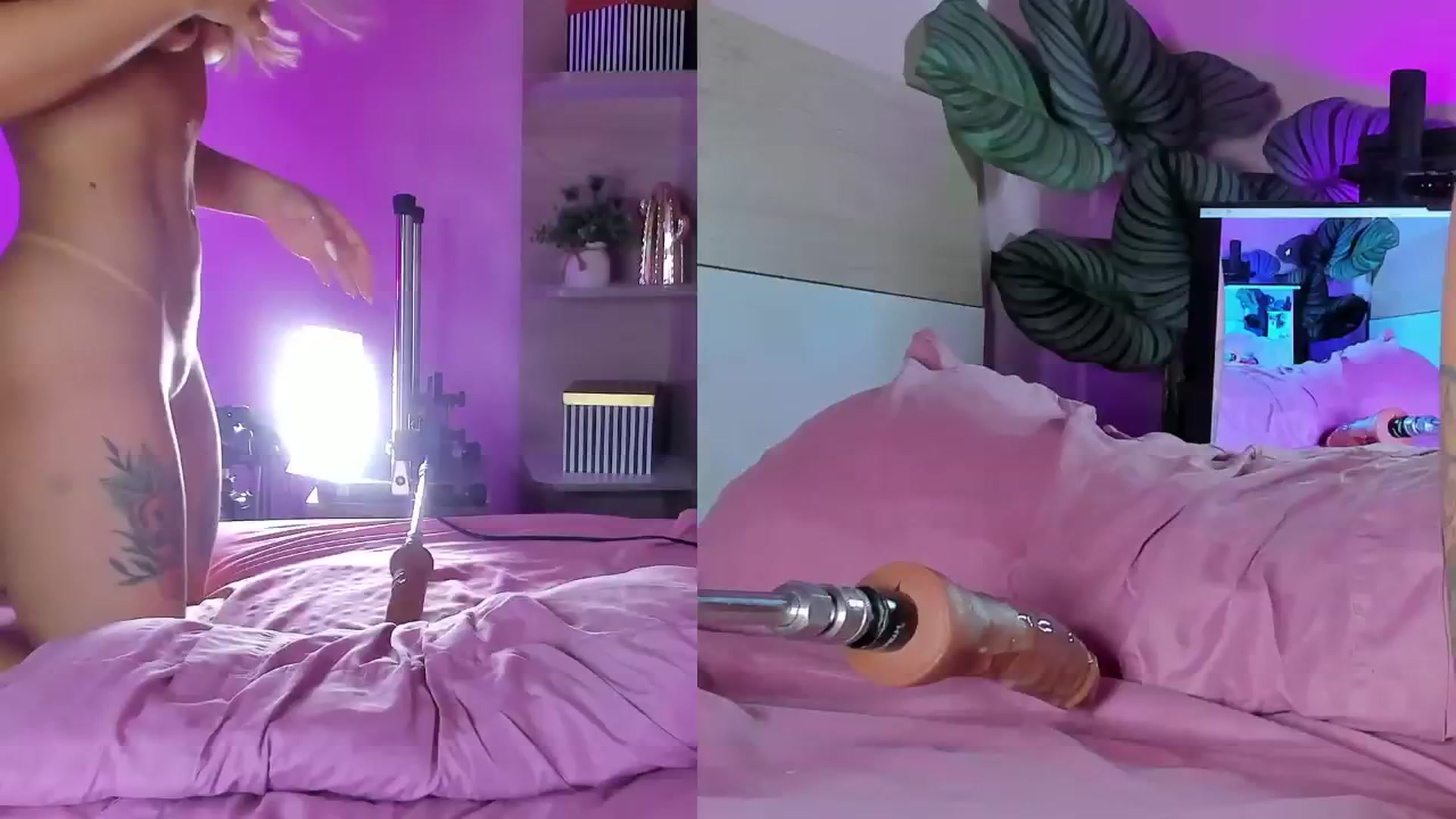 Gallery image thumbnail from emma_colucci's myfreecams stream on, 10/22/2025, 24:29 image 10 of 20