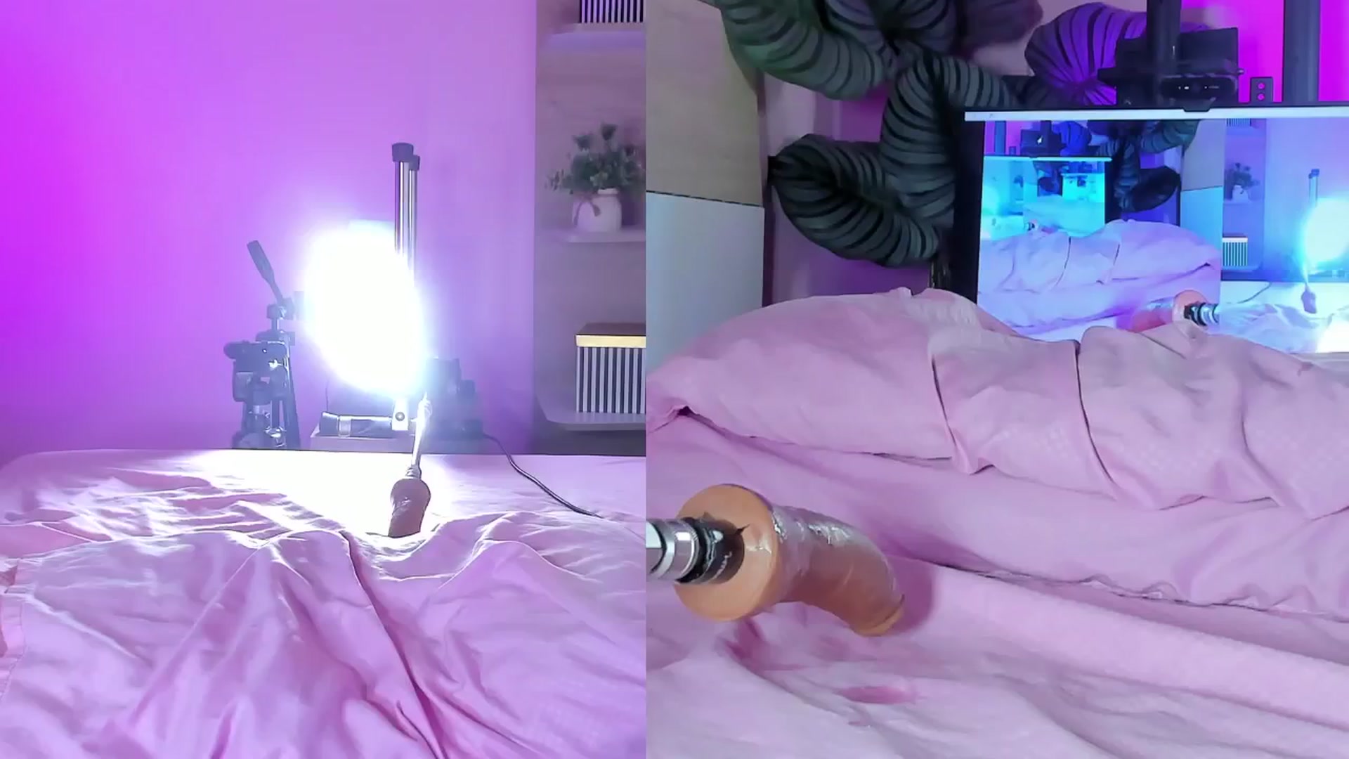 Gallery image thumbnail from emma_colucci's myfreecams stream on, 10/25/2025, 21:53 image 13 of 20