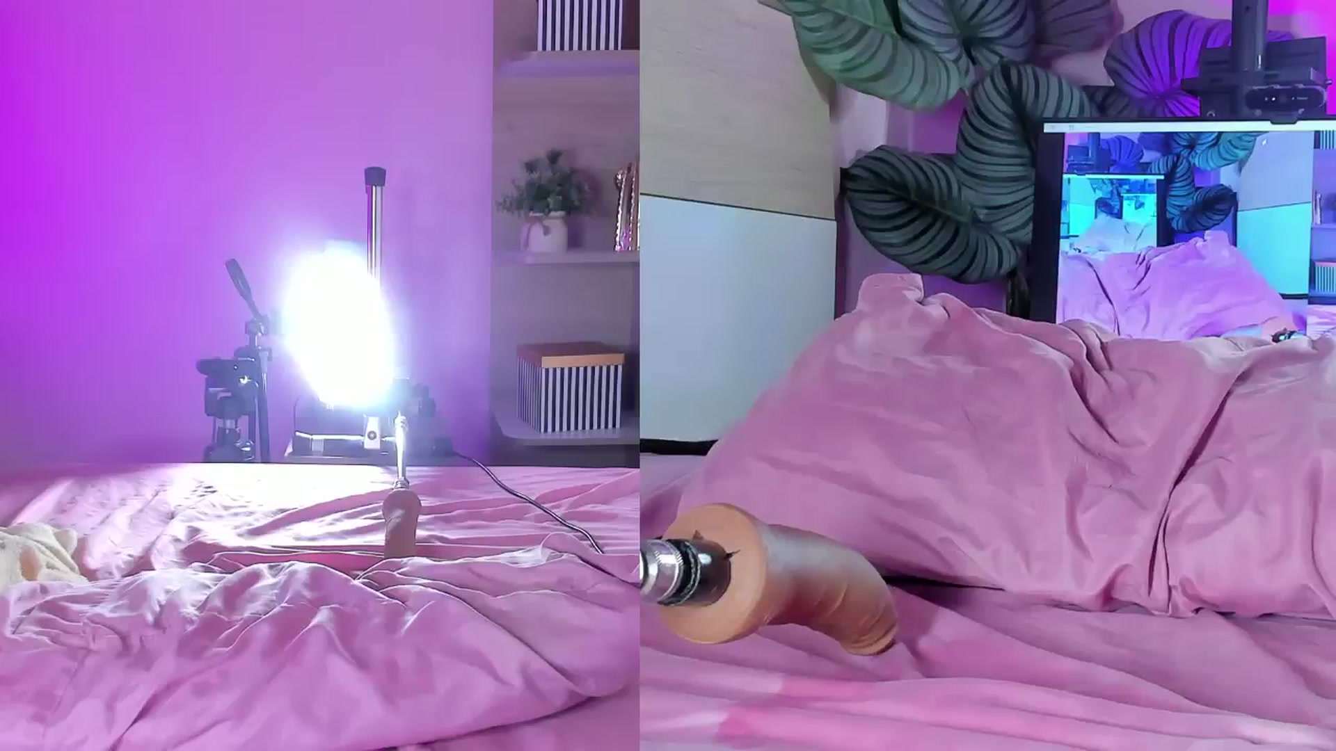 Gallery image thumbnail from emma_colucci's myfreecams stream on, 10/26/2025, 21:24 image 9 of 20
