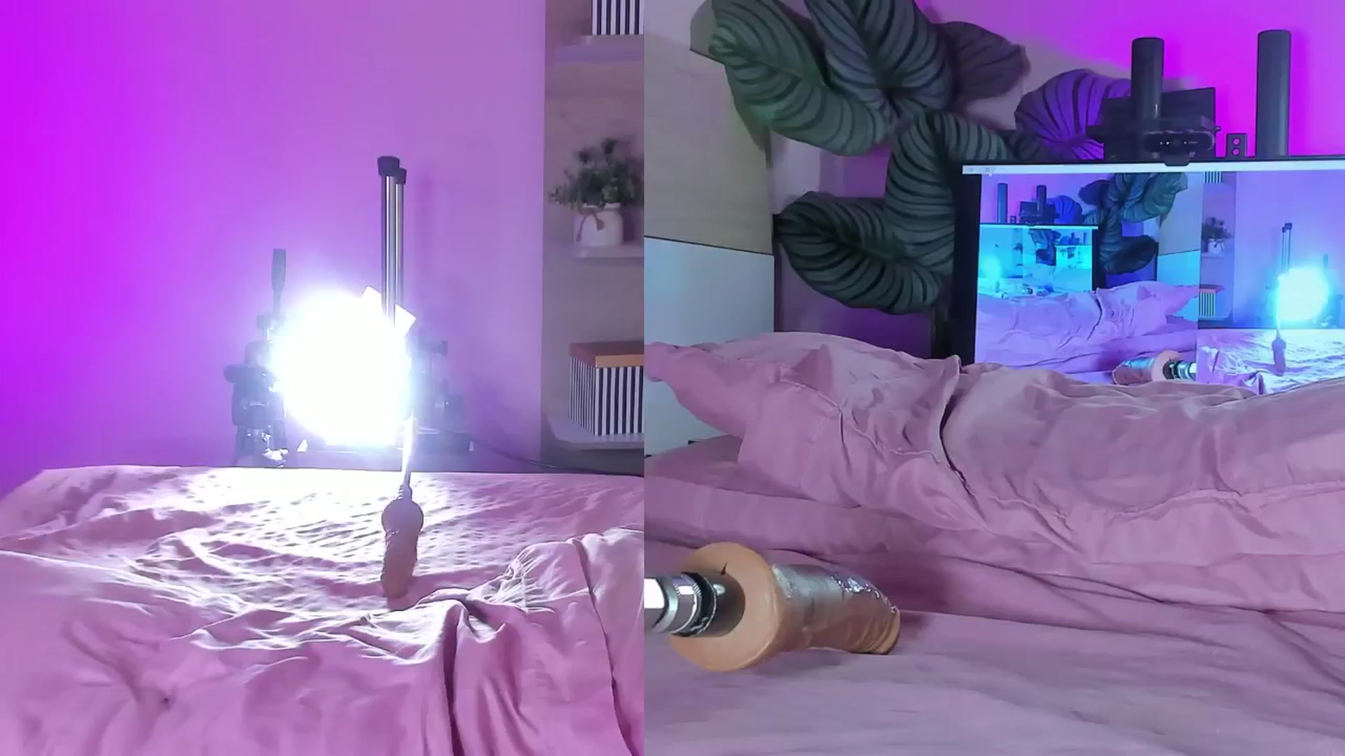 Gallery image thumbnail from emma_colucci's myfreecams stream on, 11/03/2025, 01:01 image 20 of 20