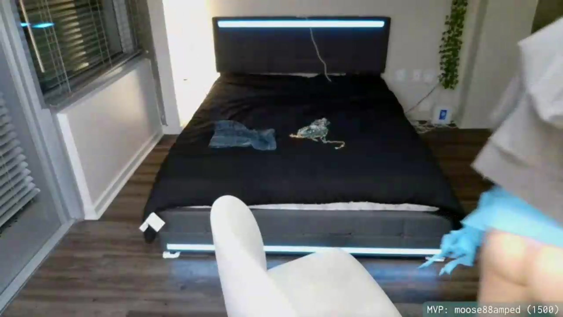 Gallery image thumbnail from error0o0o0ro0's myfreecams stream on, 06/21/2026, 06:18 image 15 of 20