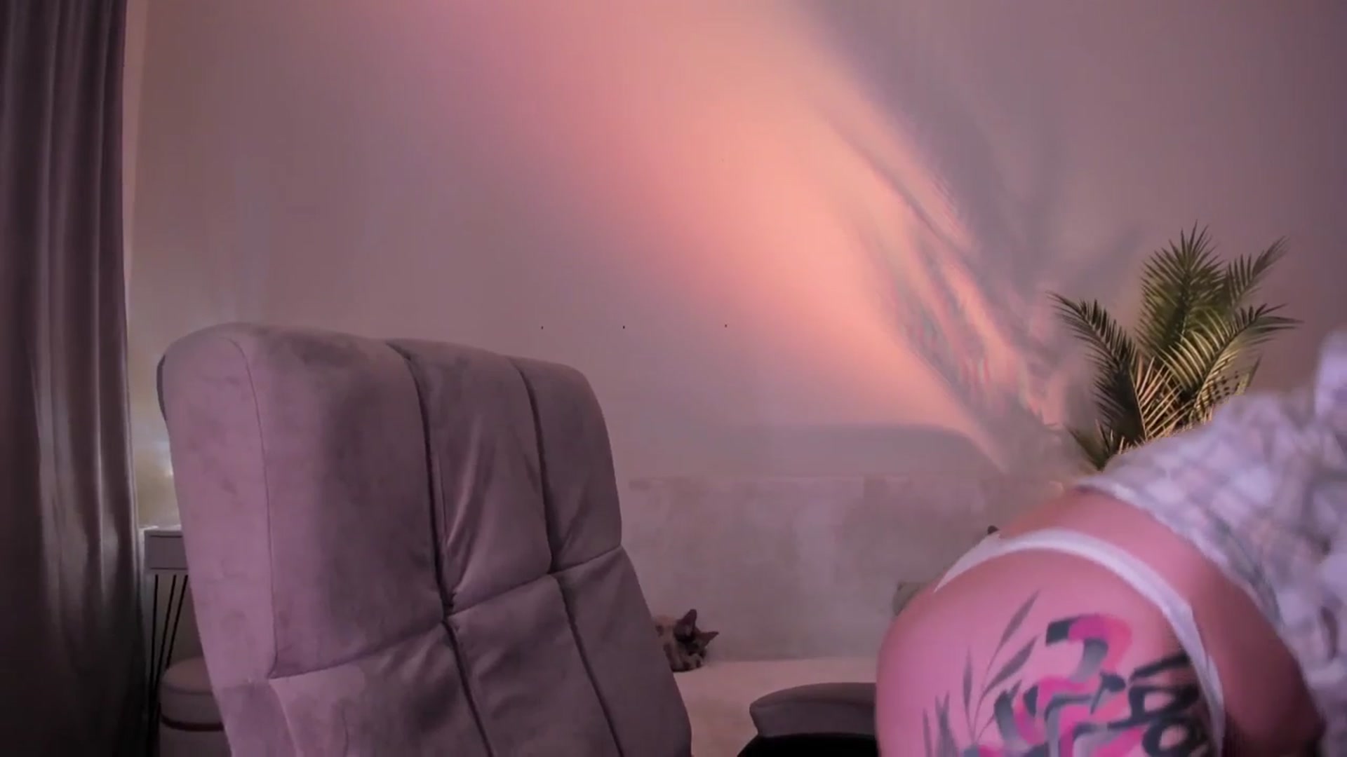 Gallery image thumbnail from euphoriadance's myfreecams stream on, 01/27/2026, 07:32 image 10 of 20