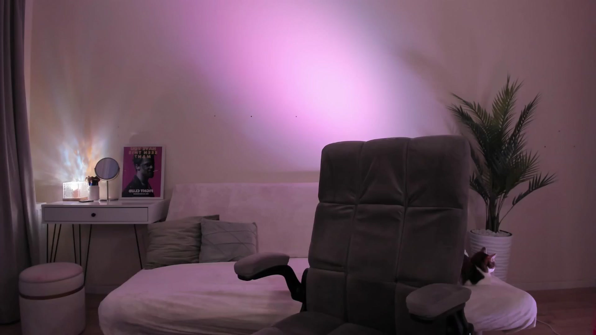 Gallery image thumbnail from euphoriadance's myfreecams stream on, 02/23/2026, 06:03 image 4 of 20