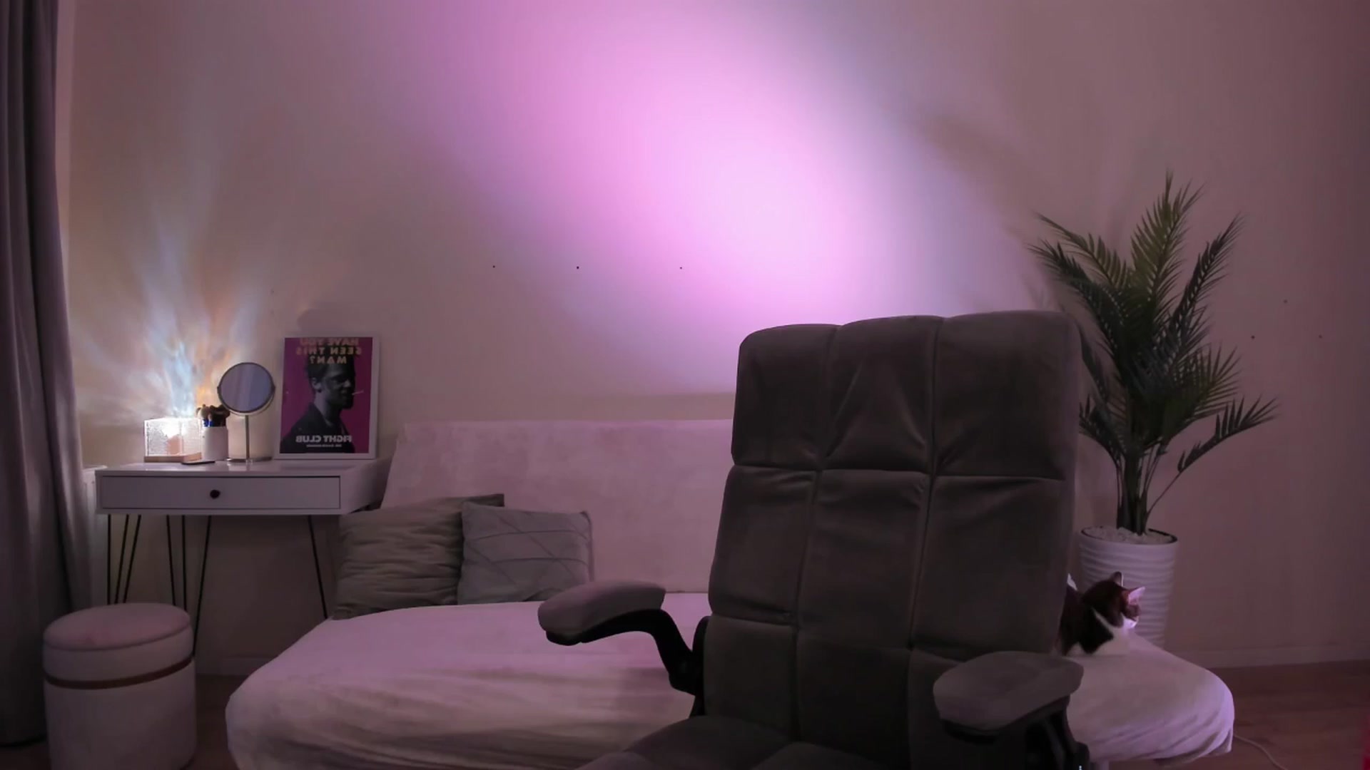 Gallery image thumbnail from euphoriadance's myfreecams stream on, 02/23/2026, 06:03 image 5 of 20