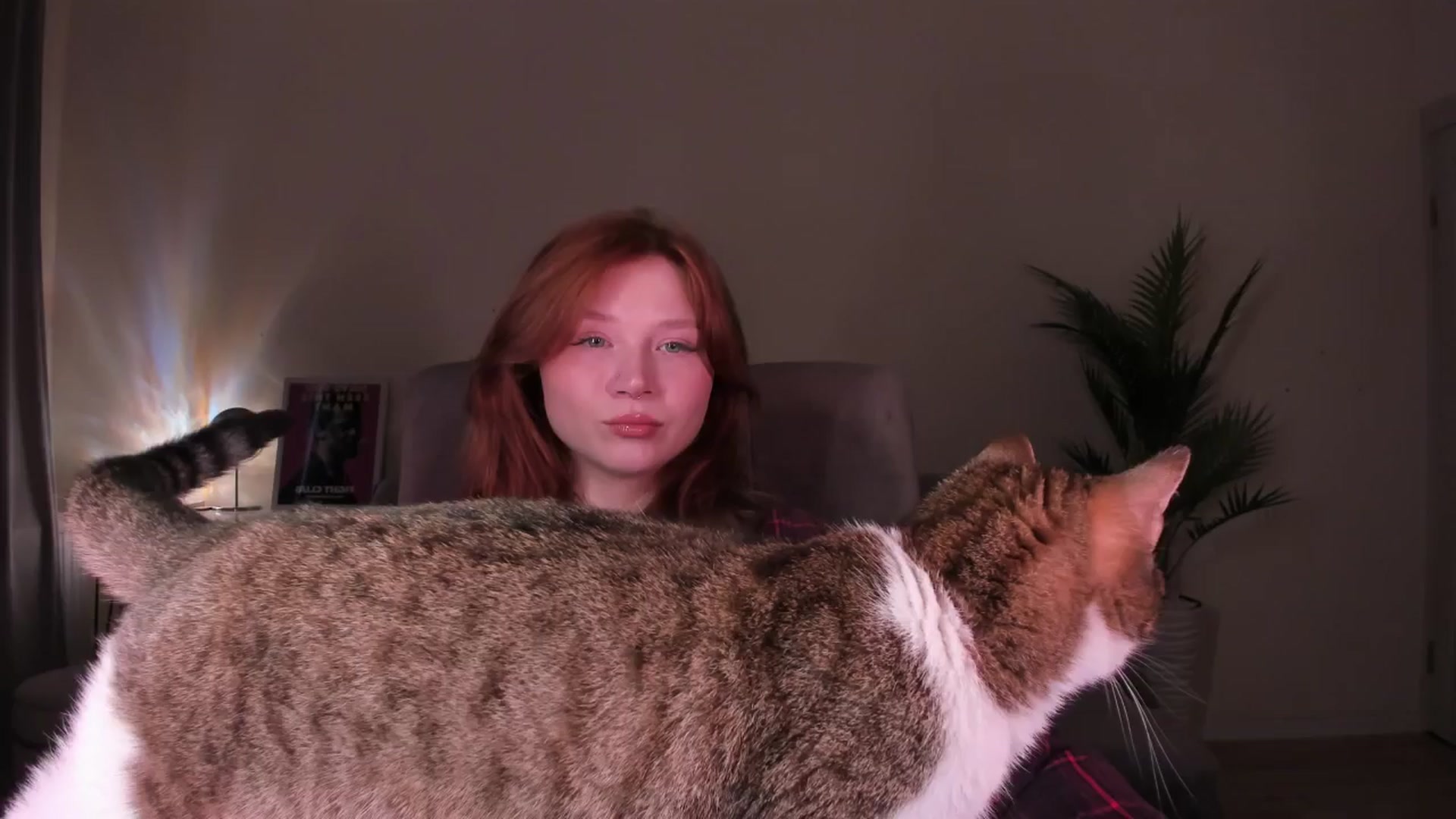 Gallery image thumbnail from euphoriadance's myfreecams stream on, 03/12/2026, 05:55 image 3 of 20