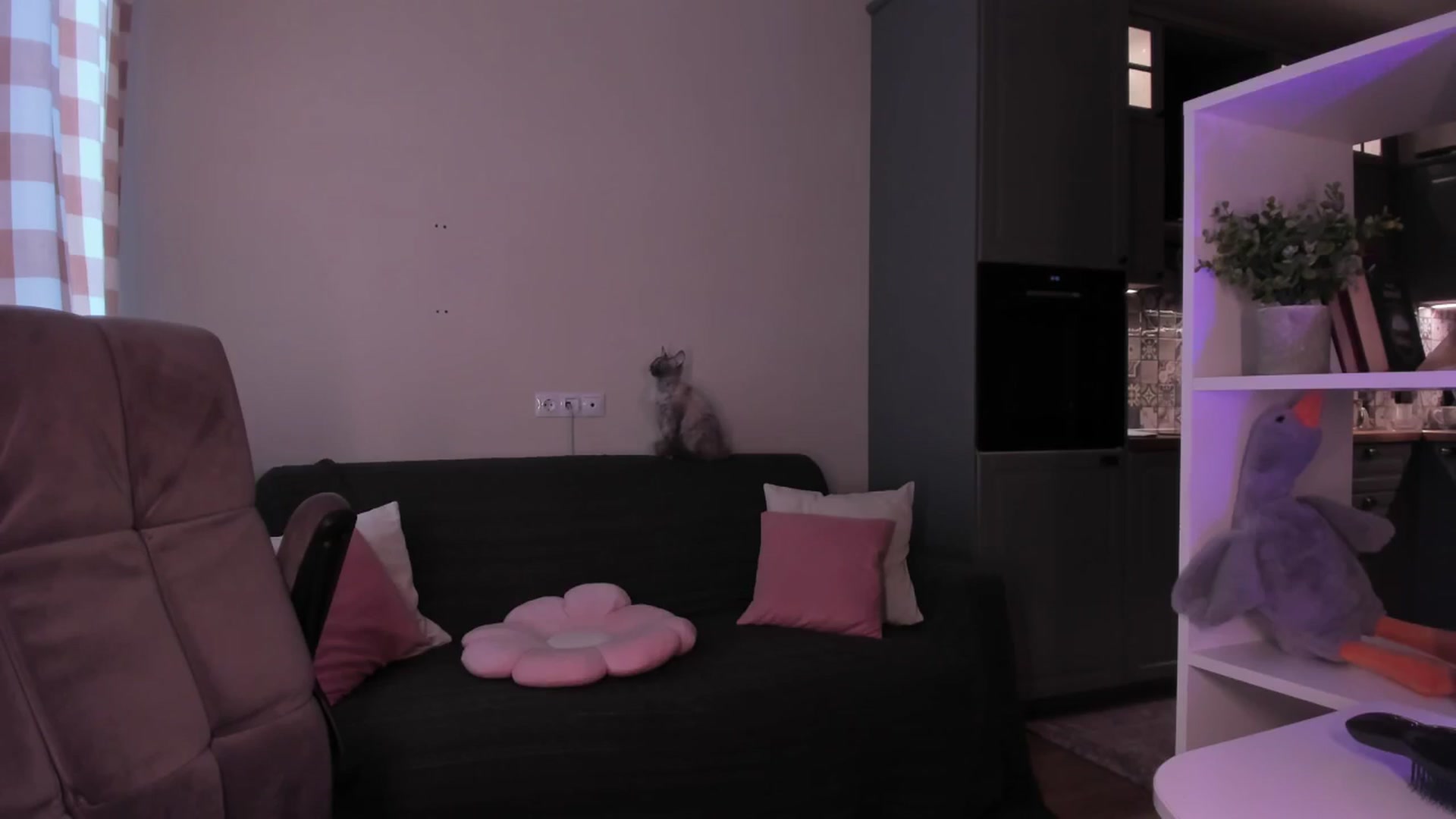 Gallery image thumbnail from euphoriadance's myfreecams stream on, 04/23/2026, 06:06 image 10 of 20