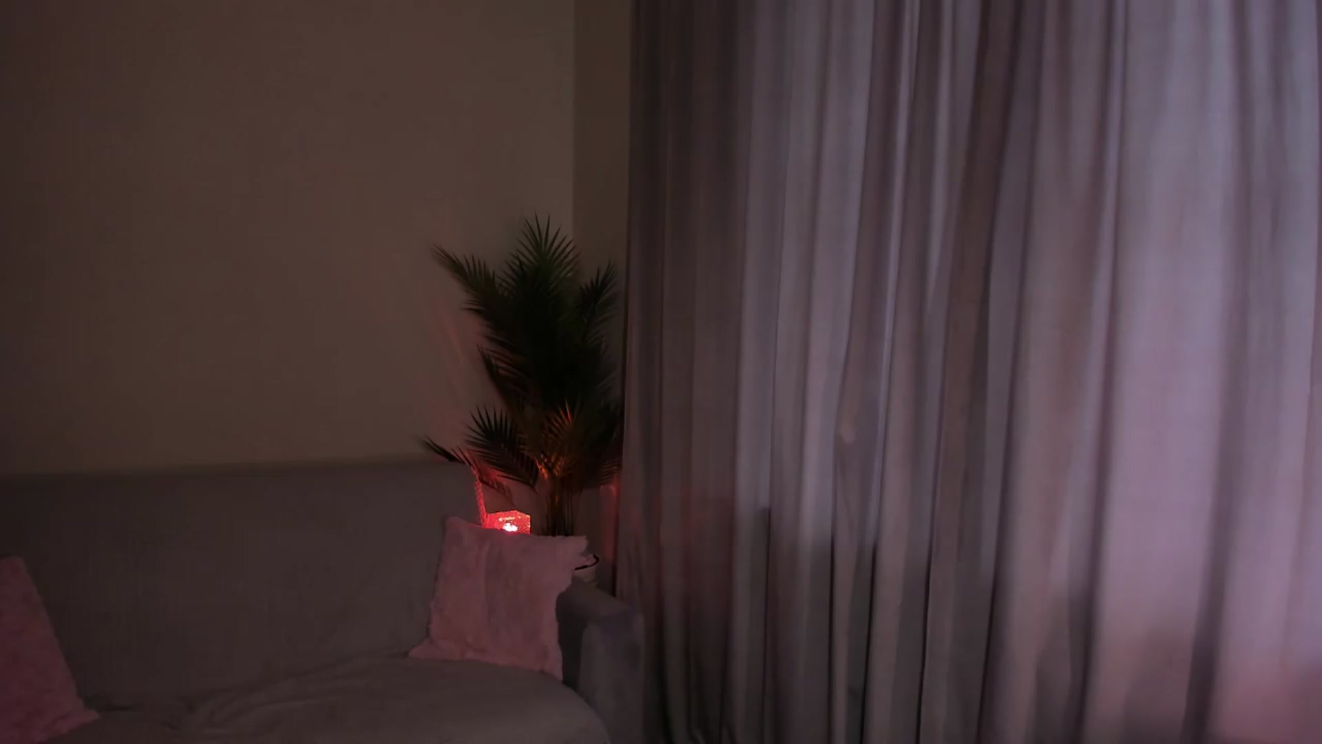 Gallery image thumbnail from euphoriadance's myfreecams stream on, 07/28/2026, 06:10 image 9 of 20