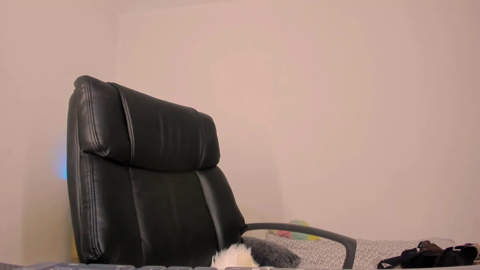Gallery image thumbnail from exotticsweet's myfreecams stream on, 02/24/2023, 09:36 image 20 of 20