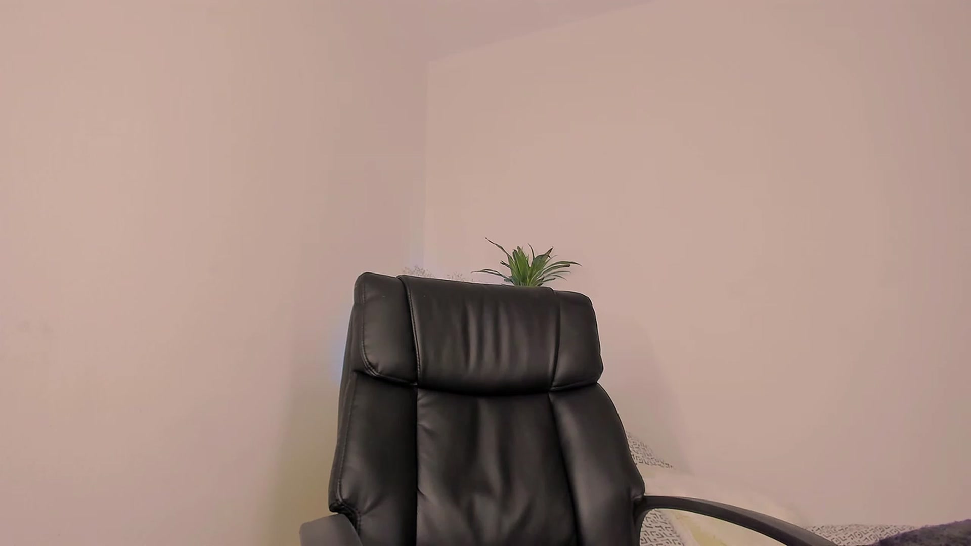Gallery image thumbnail from exotticsweet's myfreecams stream on, 02/26/2023, 12:35 image 17 of 20