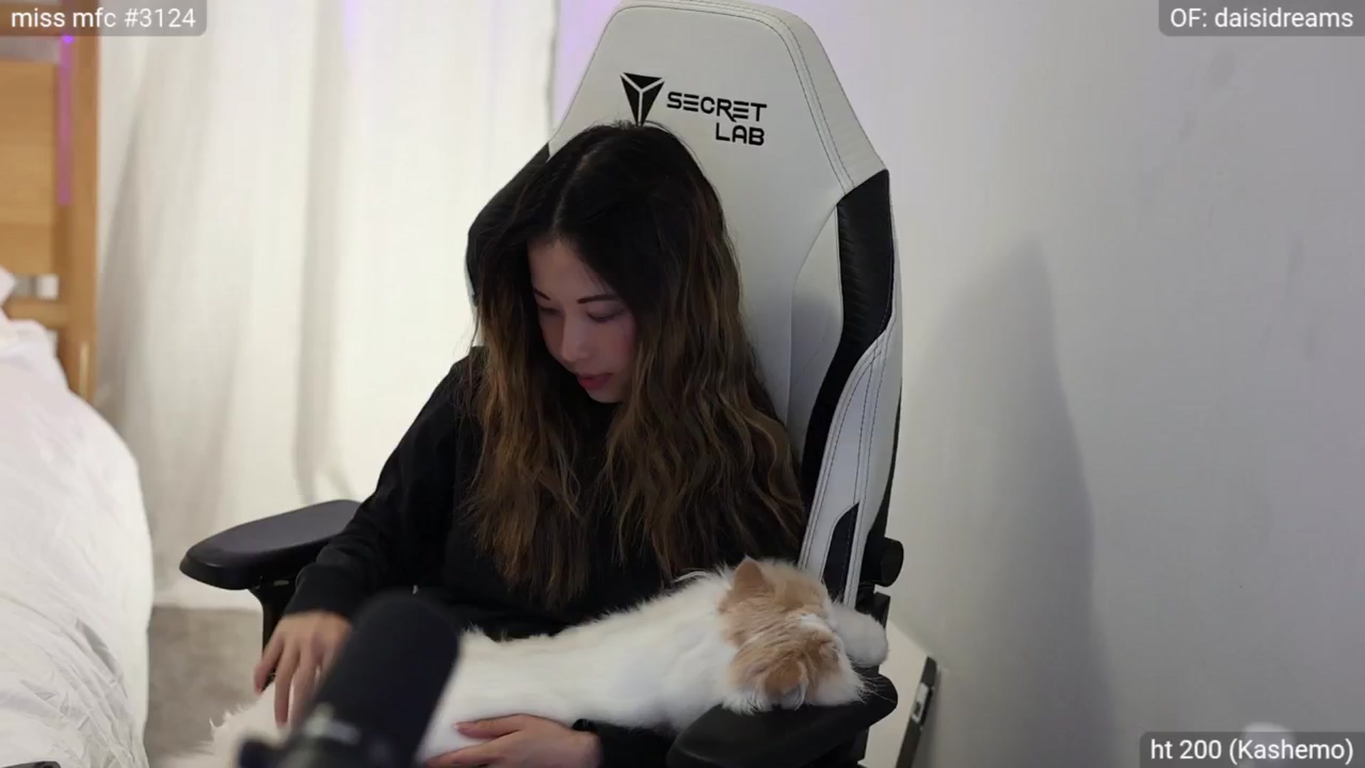 Gallery image thumbnail from fairydaisi's myfreecams stream on, 06/04/2024, 03:29 image 7 of 20