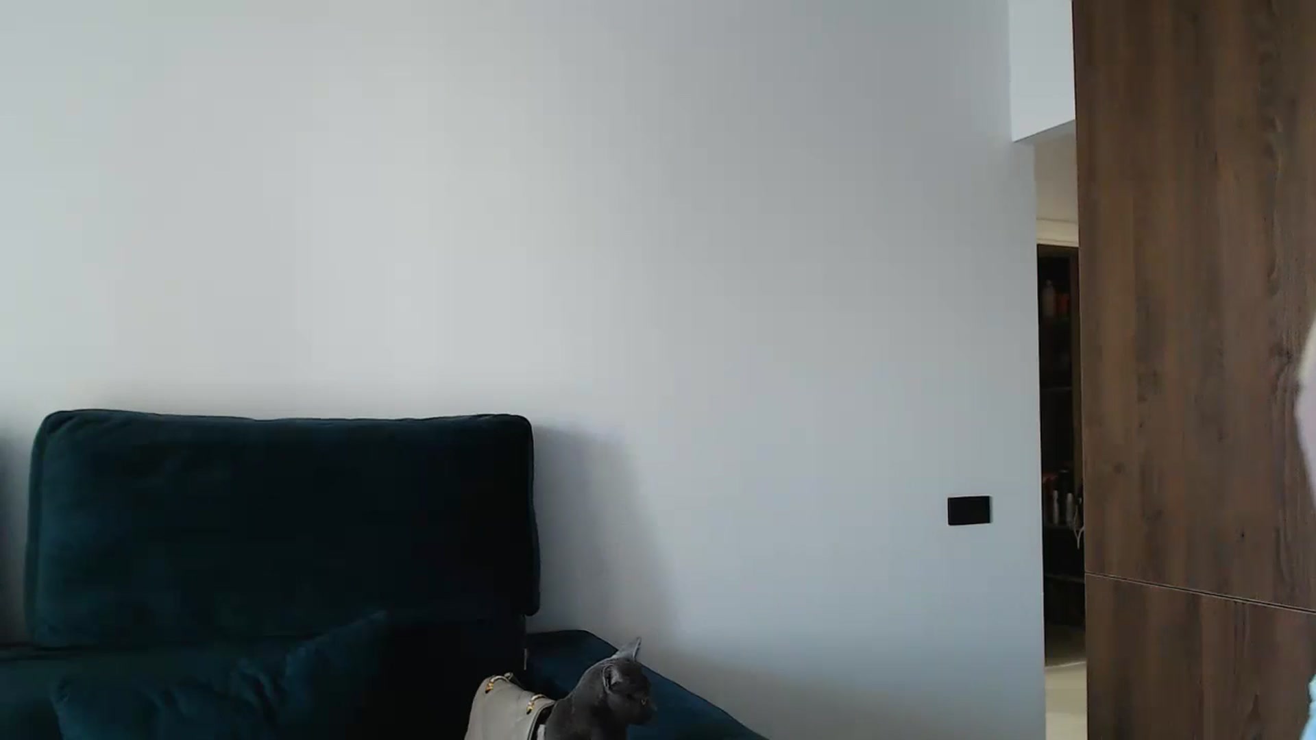 Gallery image thumbnail from fiancee's myfreecams stream on, 05/01/2024, 03:19 image 7 of 20