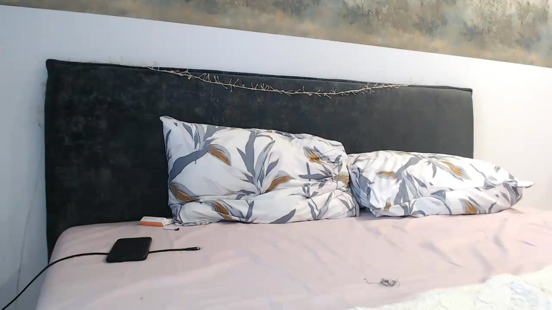 Gallery image thumbnail from fiancee's myfreecams stream on, 05/14/2024, 04:46 image 8 of 20