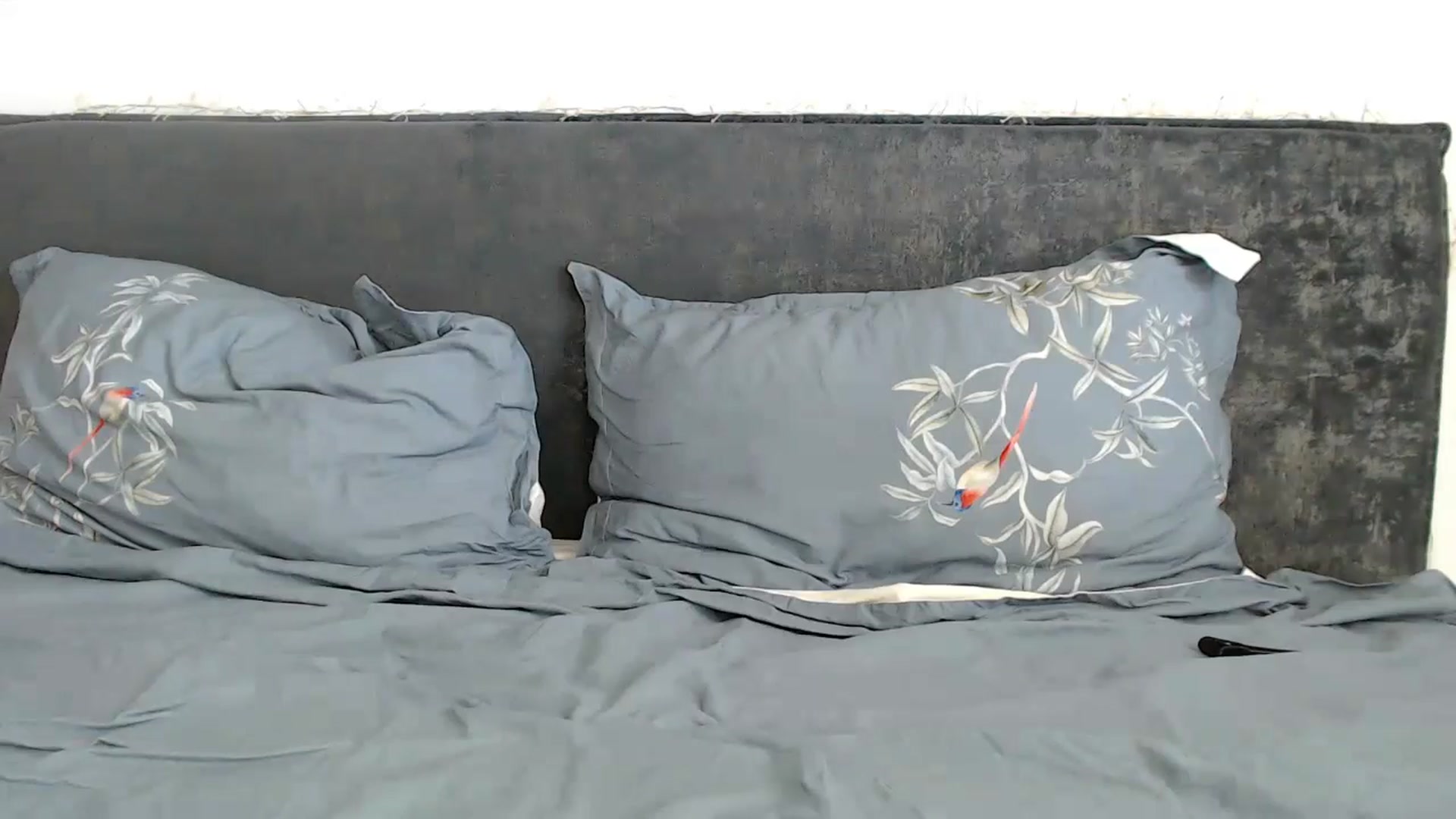 Gallery image thumbnail from fiancee's myfreecams stream on, 06/28/2024, 05:16 image 12 of 20
