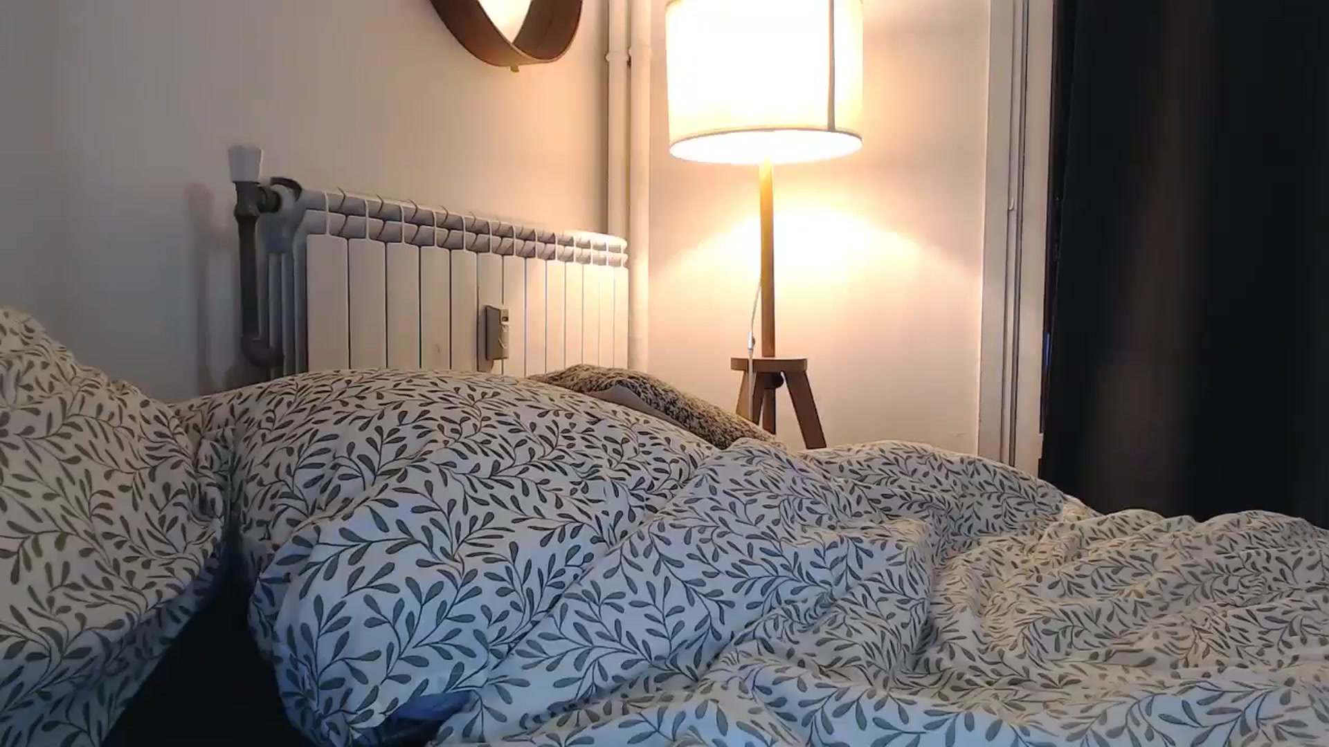Gallery image thumbnail from fiancee's myfreecams stream on, 09/30/2024, 24:32 image 3 of 20