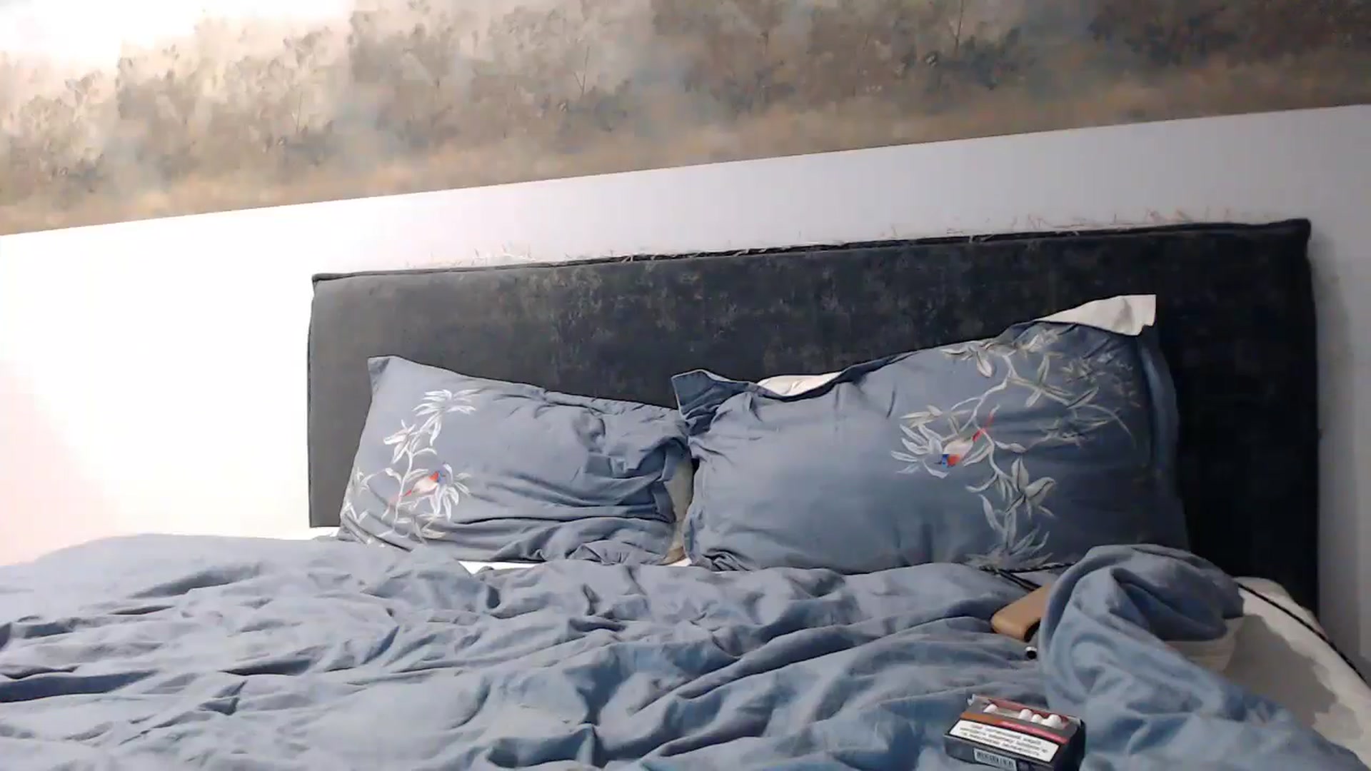 Gallery image thumbnail from fiancee's myfreecams stream on, 11/29/2024, 05:11 image 2 of 20