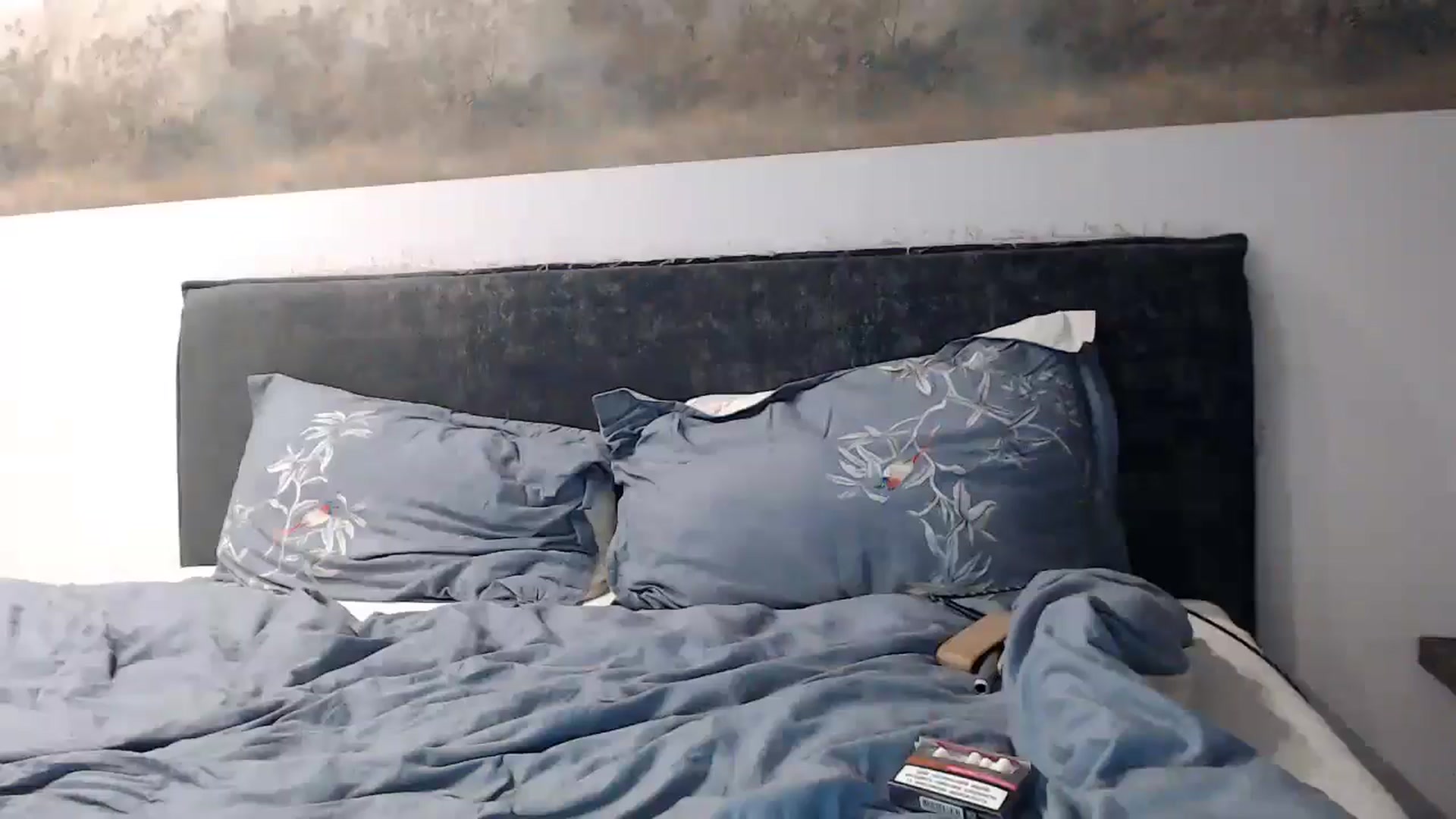 Gallery image thumbnail from fiancee's myfreecams stream on, 11/29/2024, 05:11 image 19 of 20