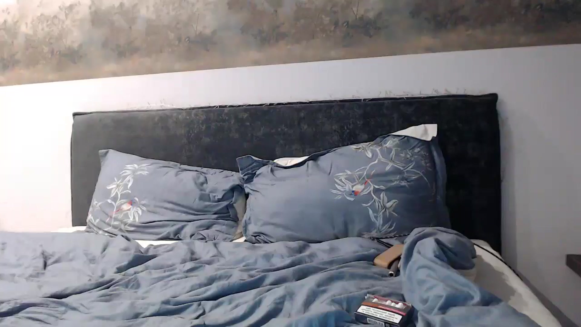 Gallery image thumbnail from fiancee's myfreecams stream on, 11/29/2024, 05:11 image 20 of 20