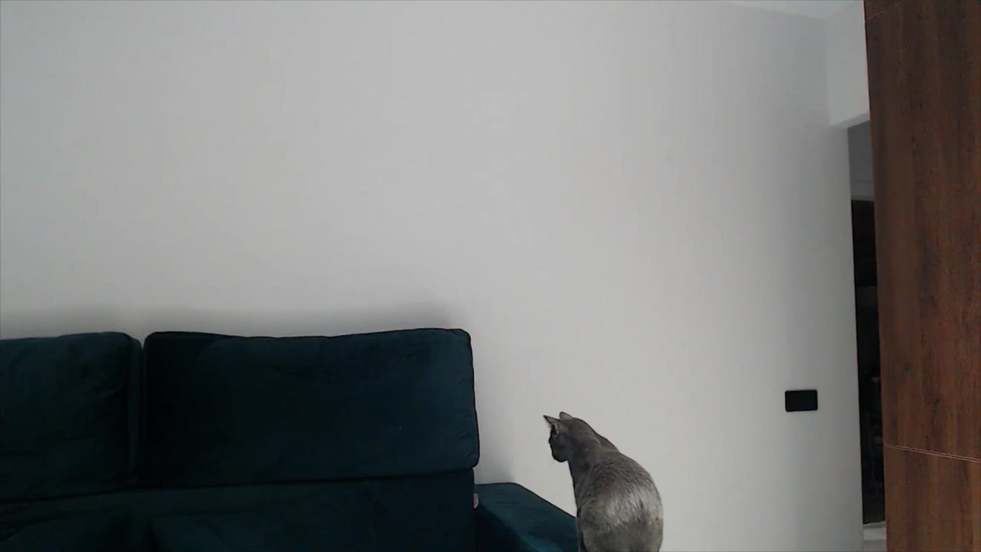 Gallery image thumbnail from fiancee's myfreecams stream on, 01/14/2025, 03:41 image 17 of 20