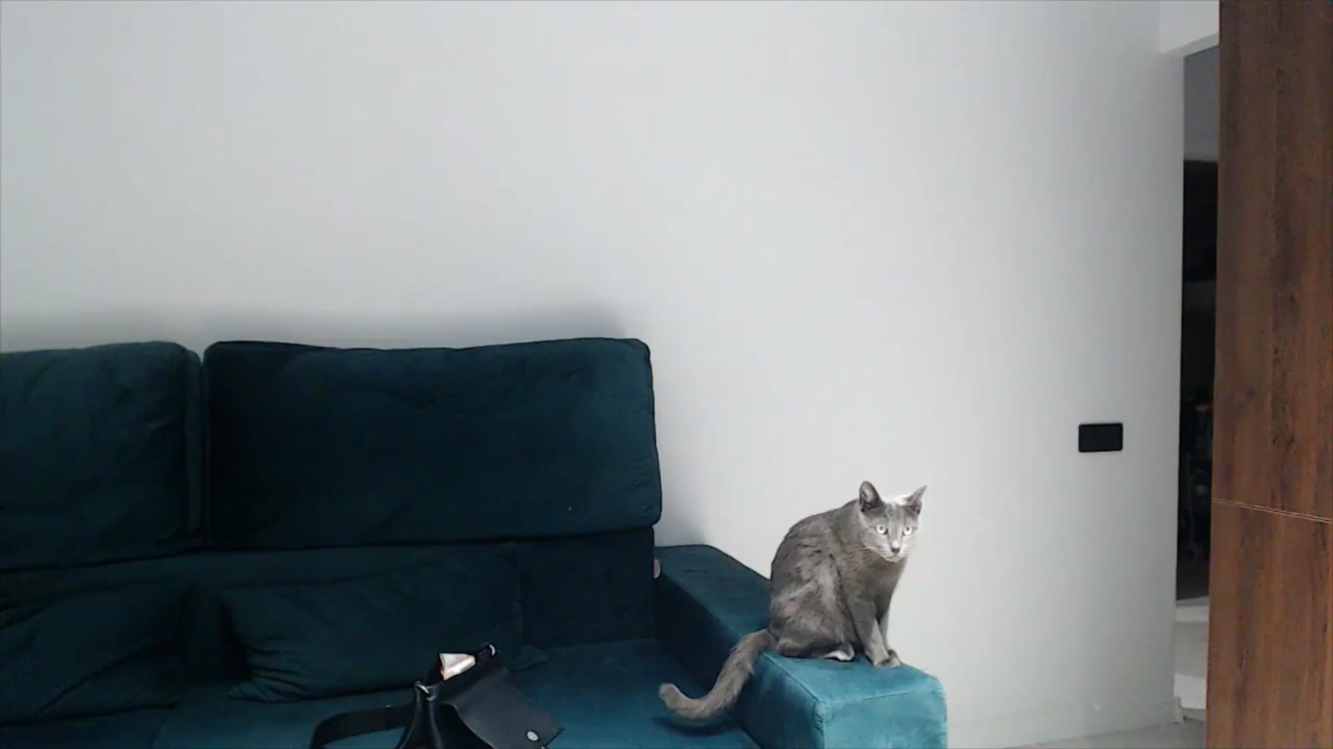 Gallery image thumbnail from fiancee's myfreecams stream on, 01/14/2025, 03:41 image 18 of 20