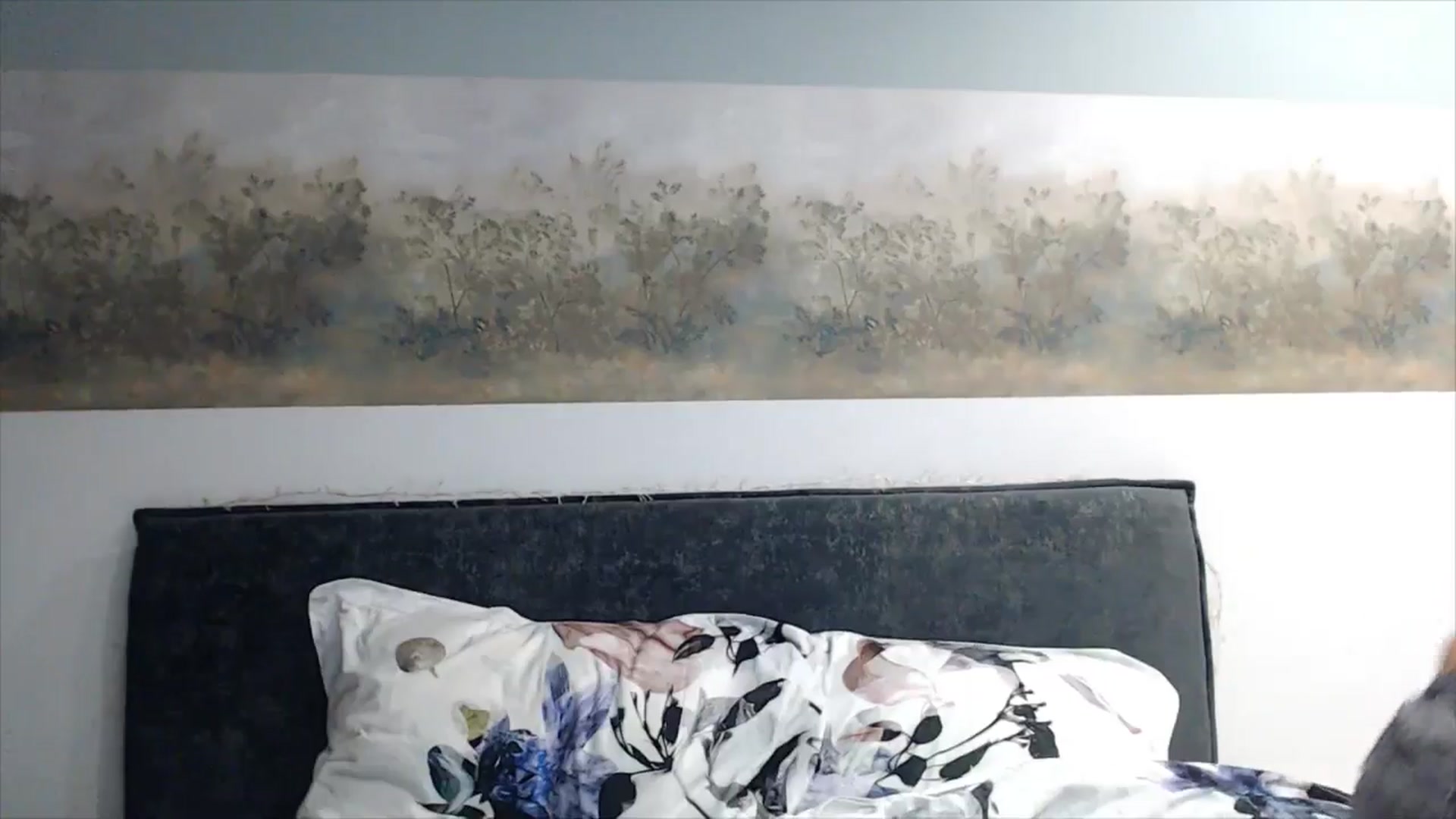 Gallery image thumbnail from fiancee's myfreecams stream on, 04/08/2025, 02:42 image 6 of 20
