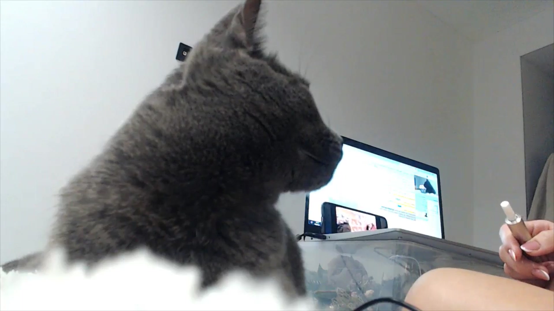 Gallery image thumbnail from fiancee's myfreecams stream on, 04/10/2025, 02:35 image 8 of 20