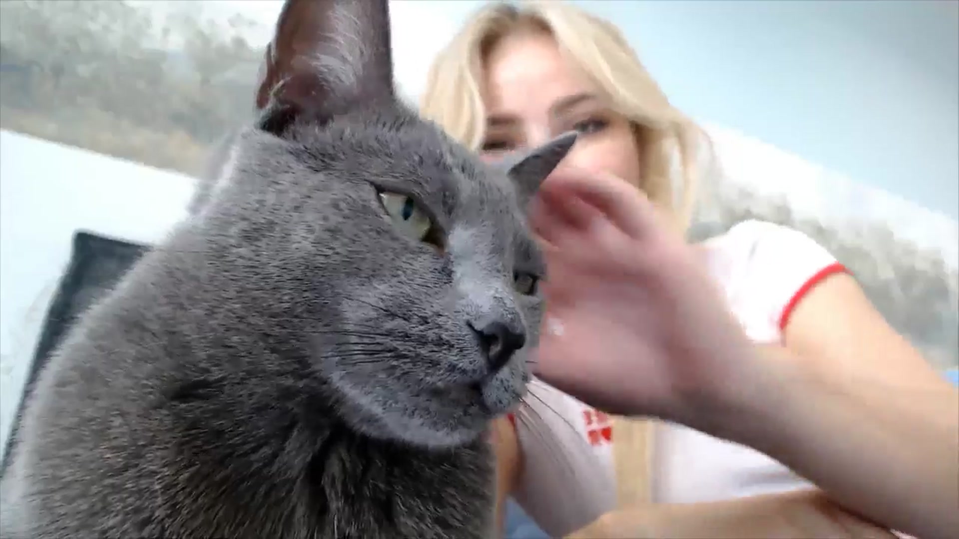Gallery image thumbnail from fiancee's myfreecams stream on, 07/09/2025, 05:39 image 3 of 20