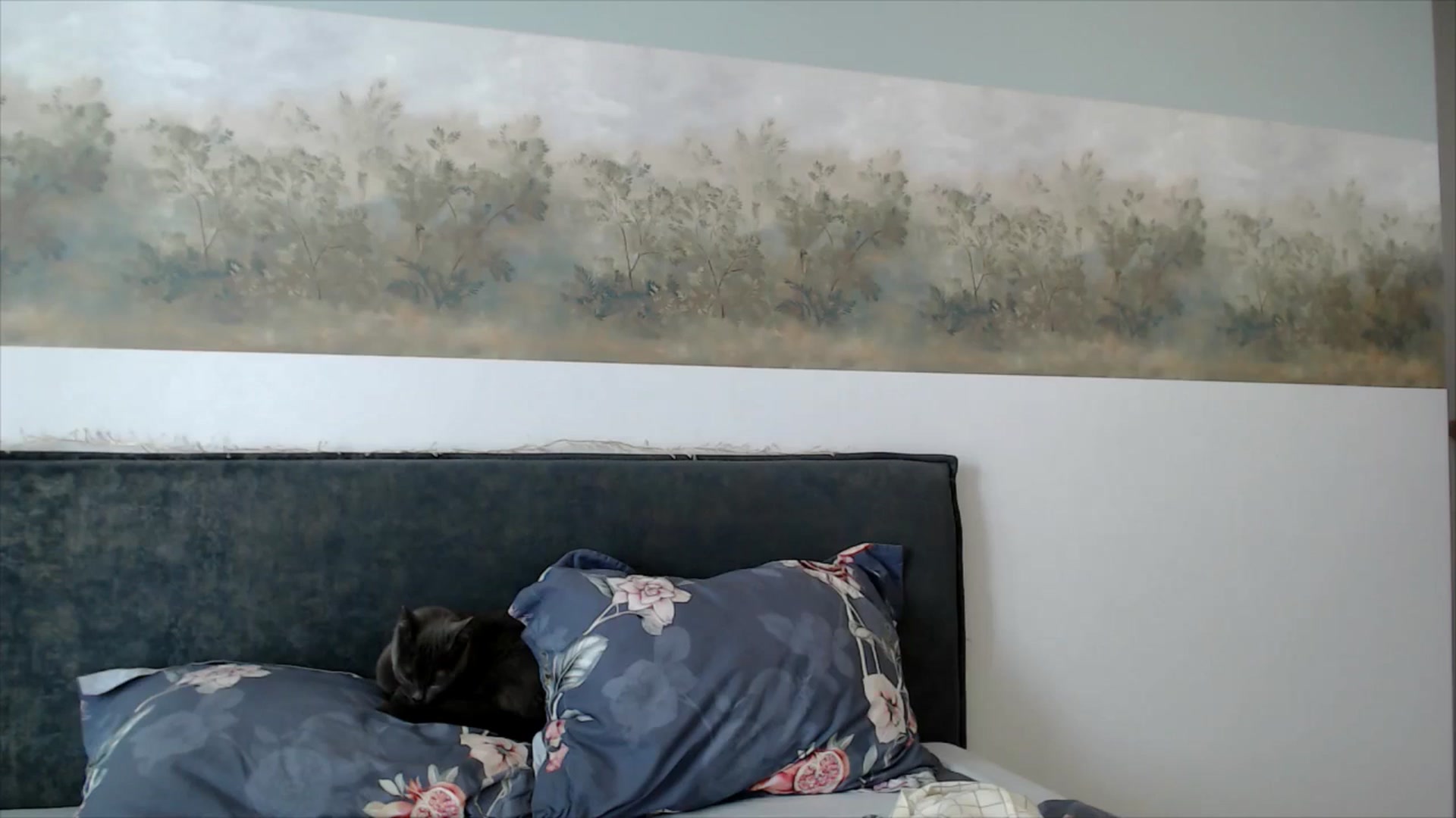 Gallery image thumbnail from fiancee's myfreecams stream on, 07/10/2025, 05:15 image 2 of 20
