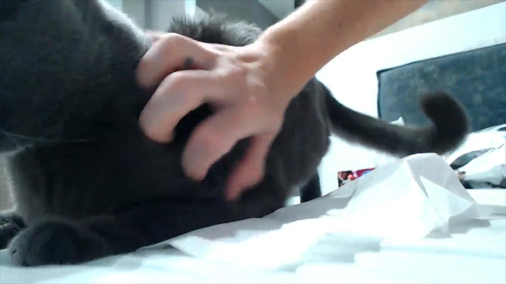 Gallery image thumbnail from fiancee's myfreecams stream on, 10/27/2025, 24:33 image 19 of 20