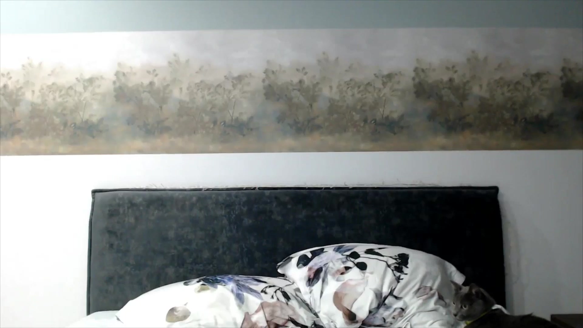 Gallery image thumbnail from fiancee's myfreecams stream on, 11/21/2025, 02:23 image 11 of 20