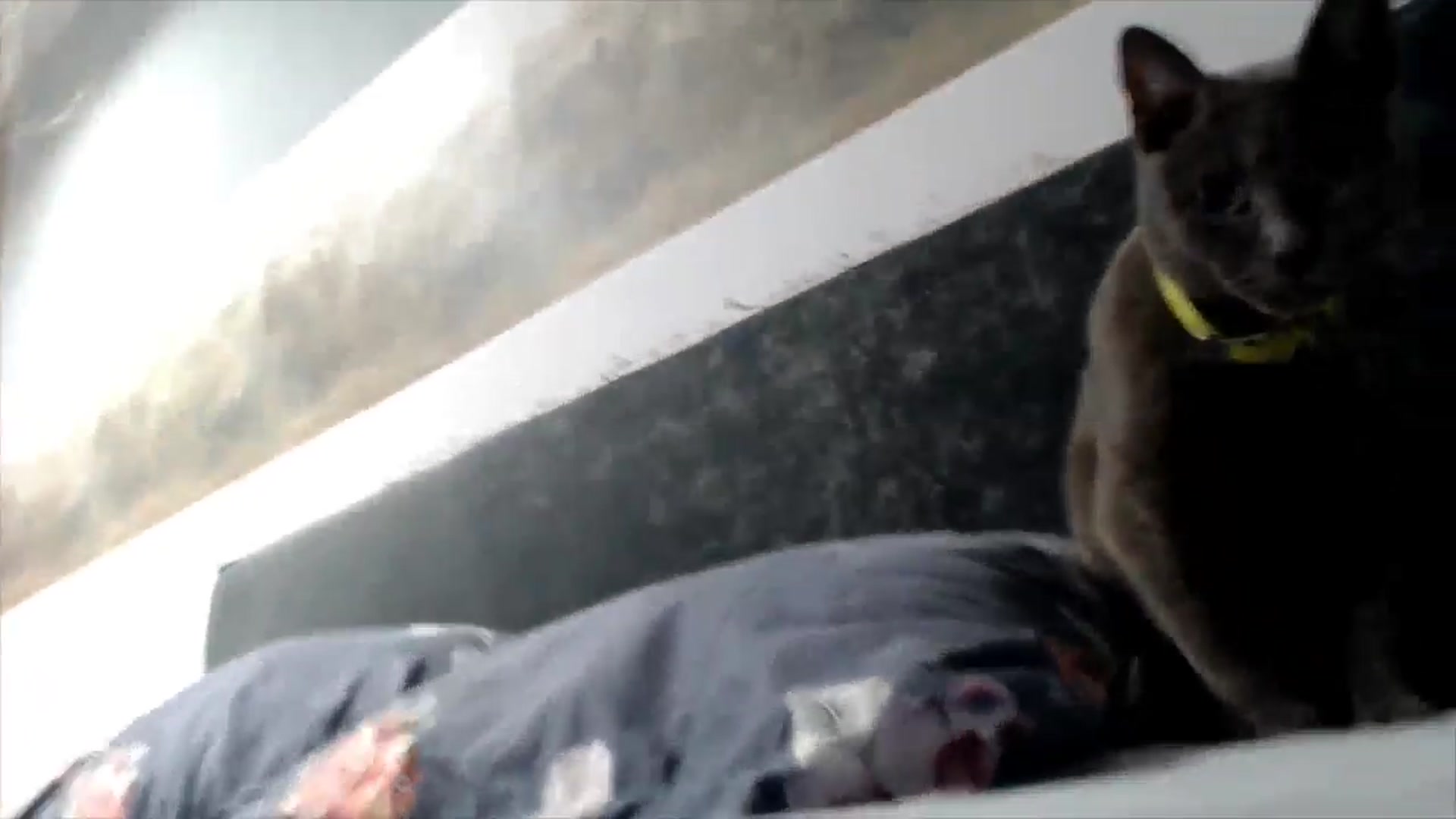 Gallery image thumbnail from fiancee's myfreecams stream on, 11/27/2025, 03:31 image 14 of 20