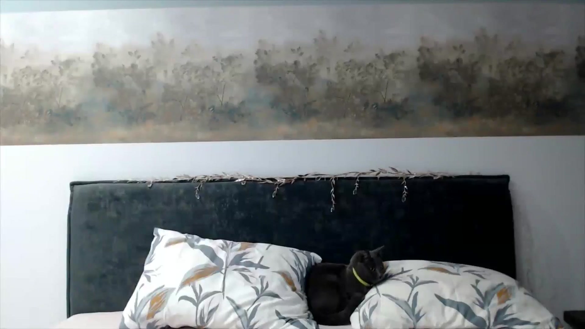 Gallery image thumbnail from fiancee's myfreecams stream on, 12/05/2025, 17:34 image 9 of 20
