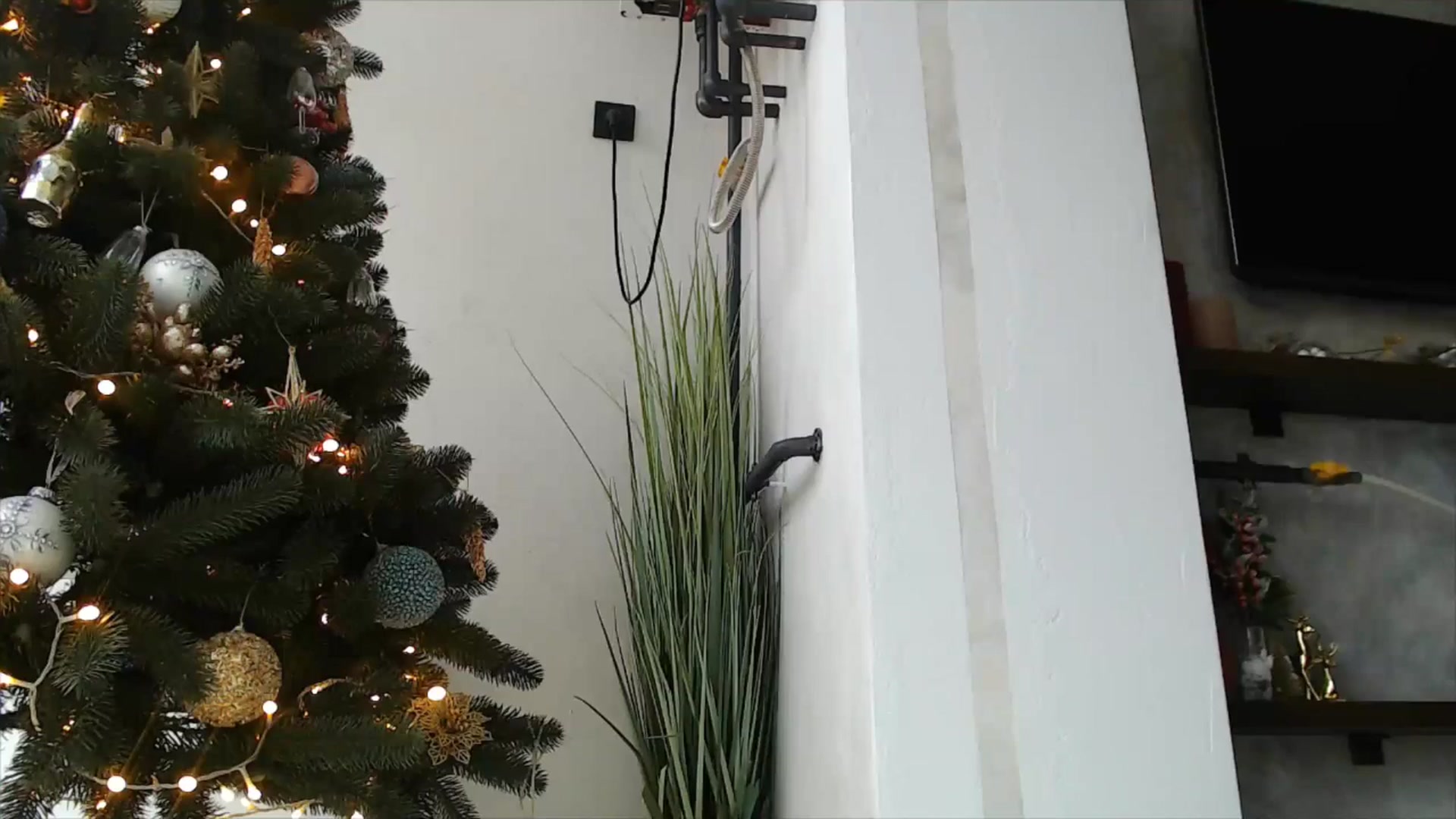 Gallery image thumbnail from fiancee's myfreecams stream on, 12/24/2025, 08:54 image 18 of 20