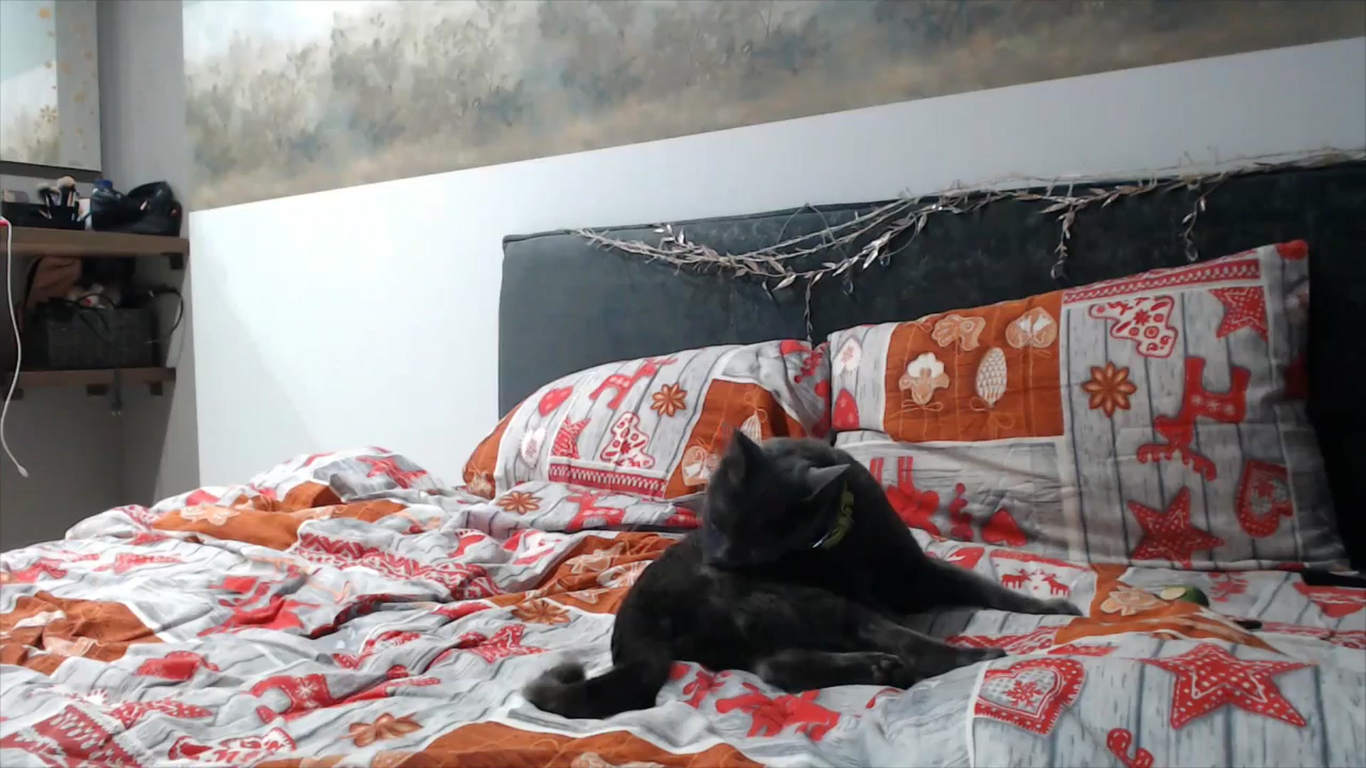 Gallery image thumbnail from fiancee's myfreecams stream on, 12/31/2025, 01:42 image 13 of 20