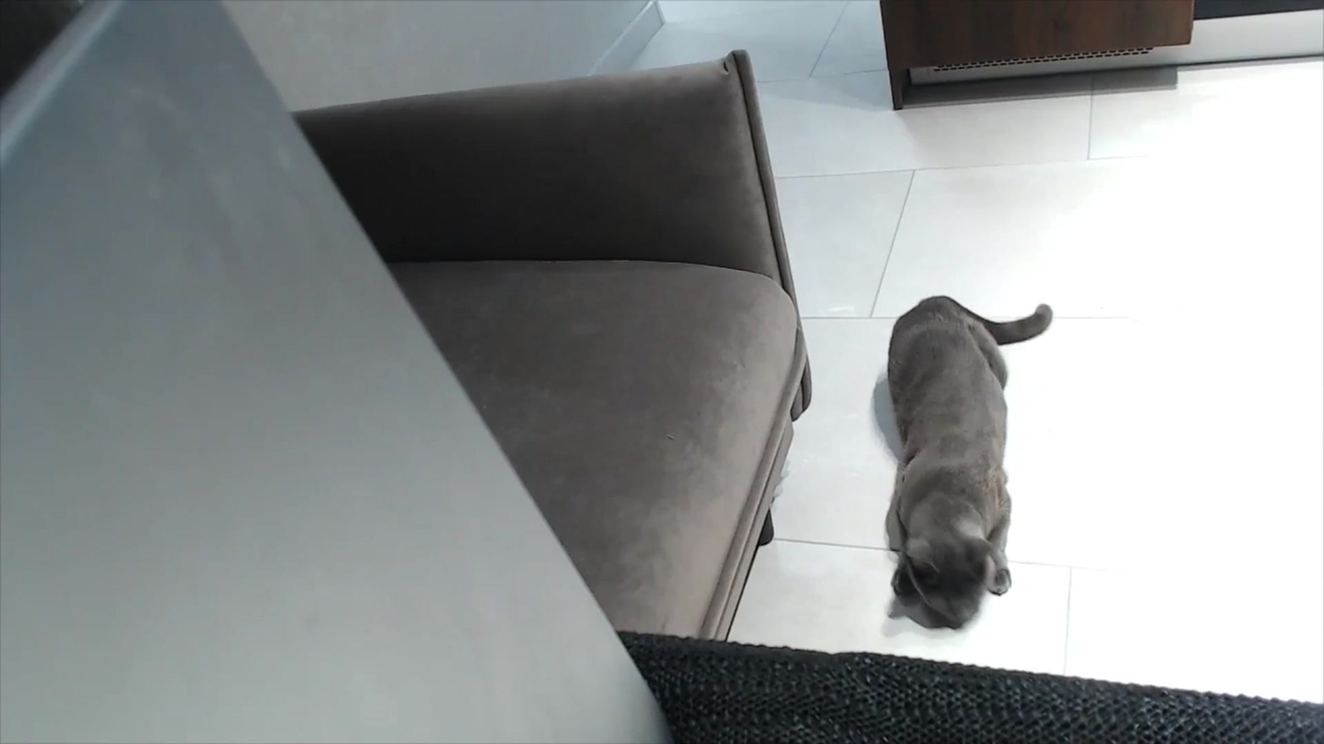Gallery image thumbnail from fiancee's myfreecams stream on, 01/01/2026, 02:57 image 13 of 20