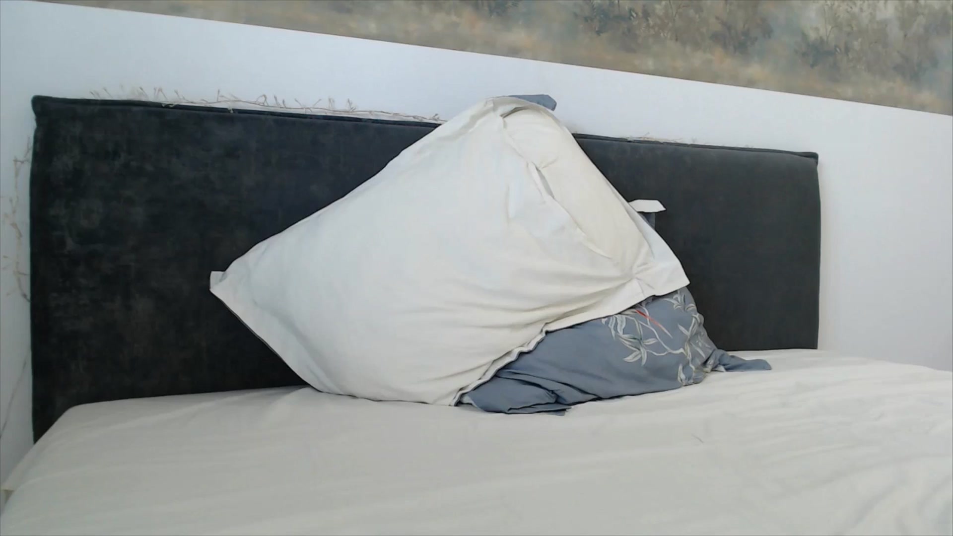 Gallery image thumbnail from fiancee's myfreecams stream on, 03/23/2026, 04:36 image 17 of 20