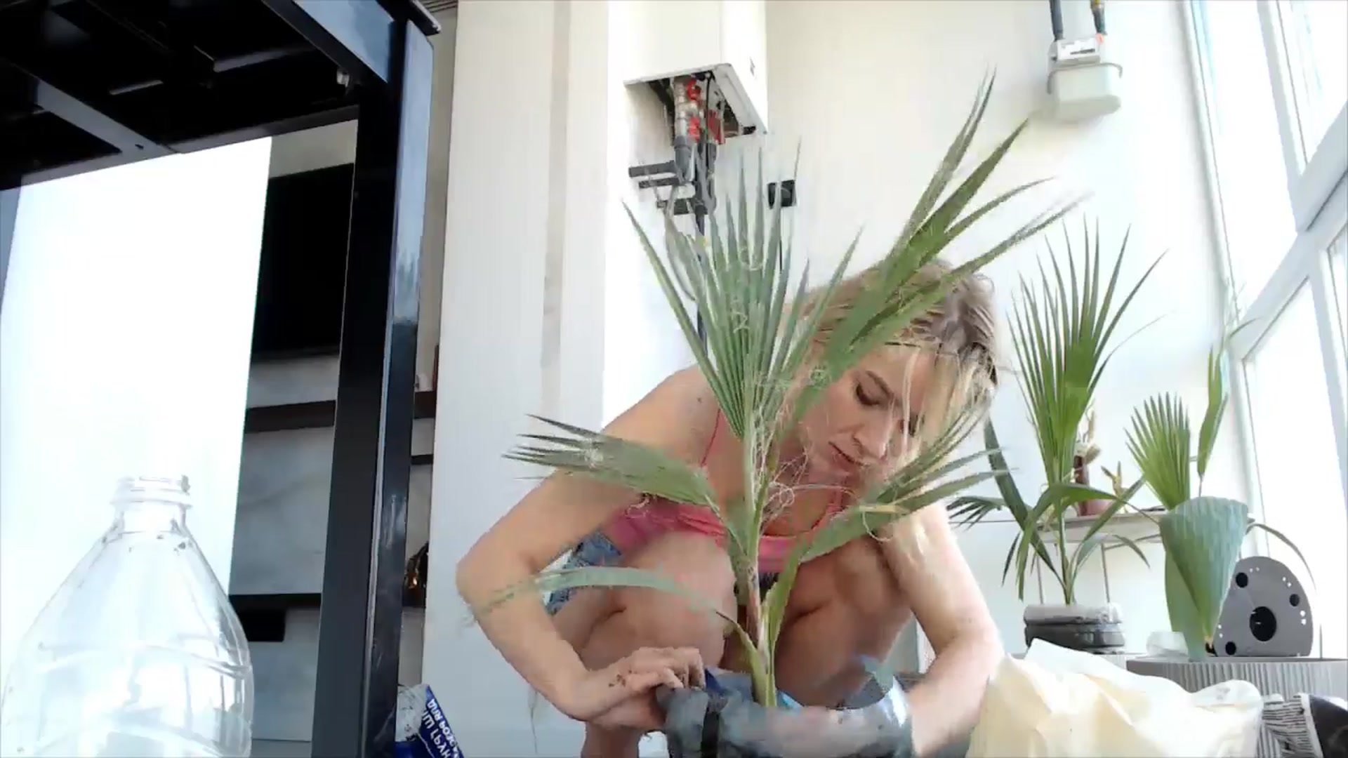 Gallery image thumbnail from fiancee's myfreecams stream on, 04/20/2026, 07:29 image 3 of 20