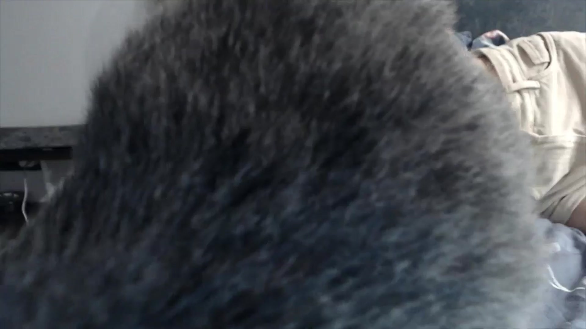 Gallery image thumbnail from fiancee's myfreecams stream on, 05/06/2026, 24:30 image 17 of 20