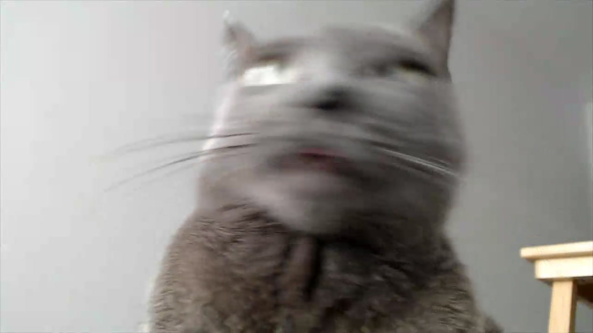 Gallery image thumbnail from fiancee's myfreecams stream on, 05/30/2026, 16:02 image 19 of 20