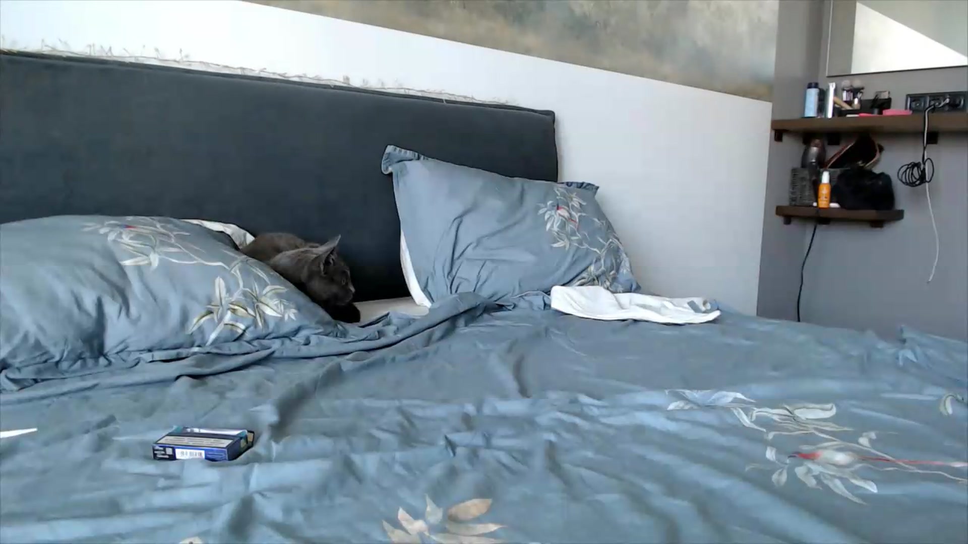 Gallery image thumbnail from fiancee's myfreecams stream on, 06/14/2026, 15:18 image 2 of 20