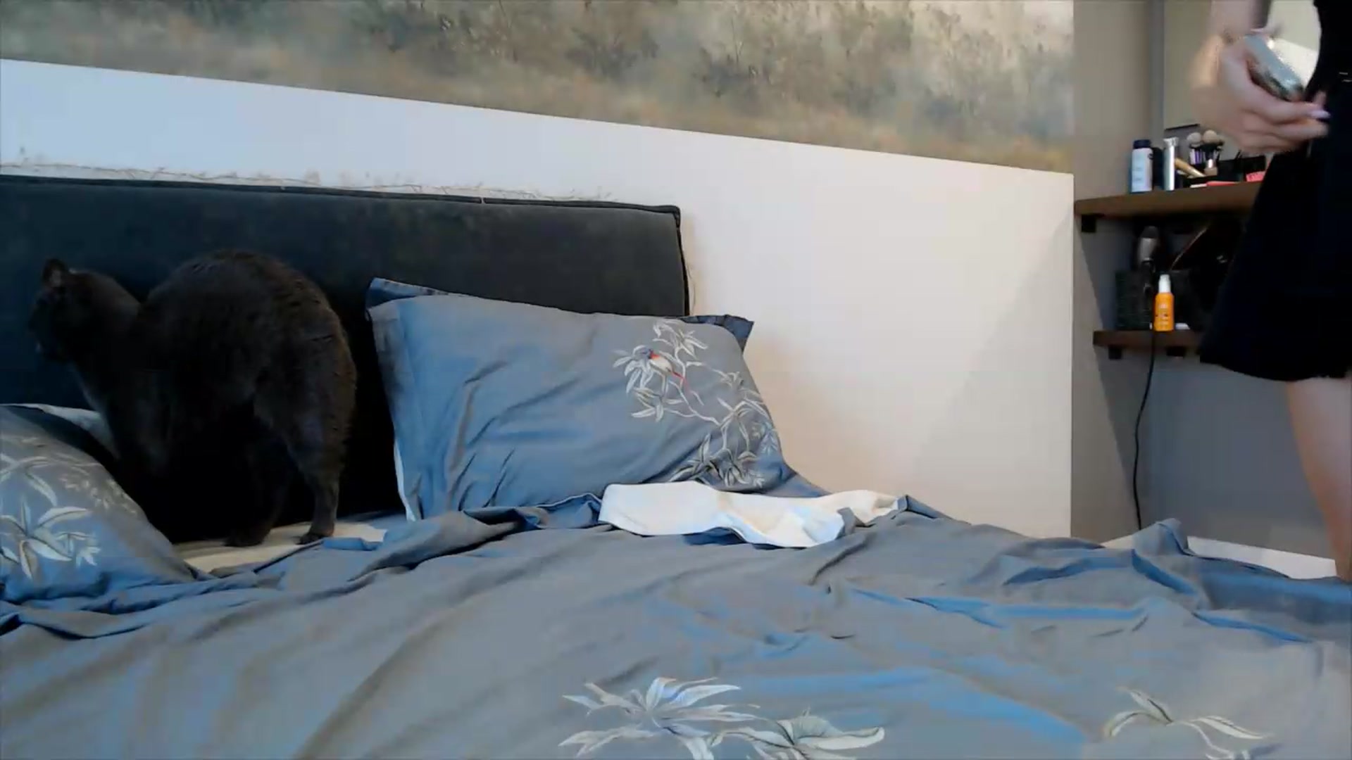 Gallery image thumbnail from fiancee's myfreecams stream on, 06/14/2026, 16:41 image 15 of 20
