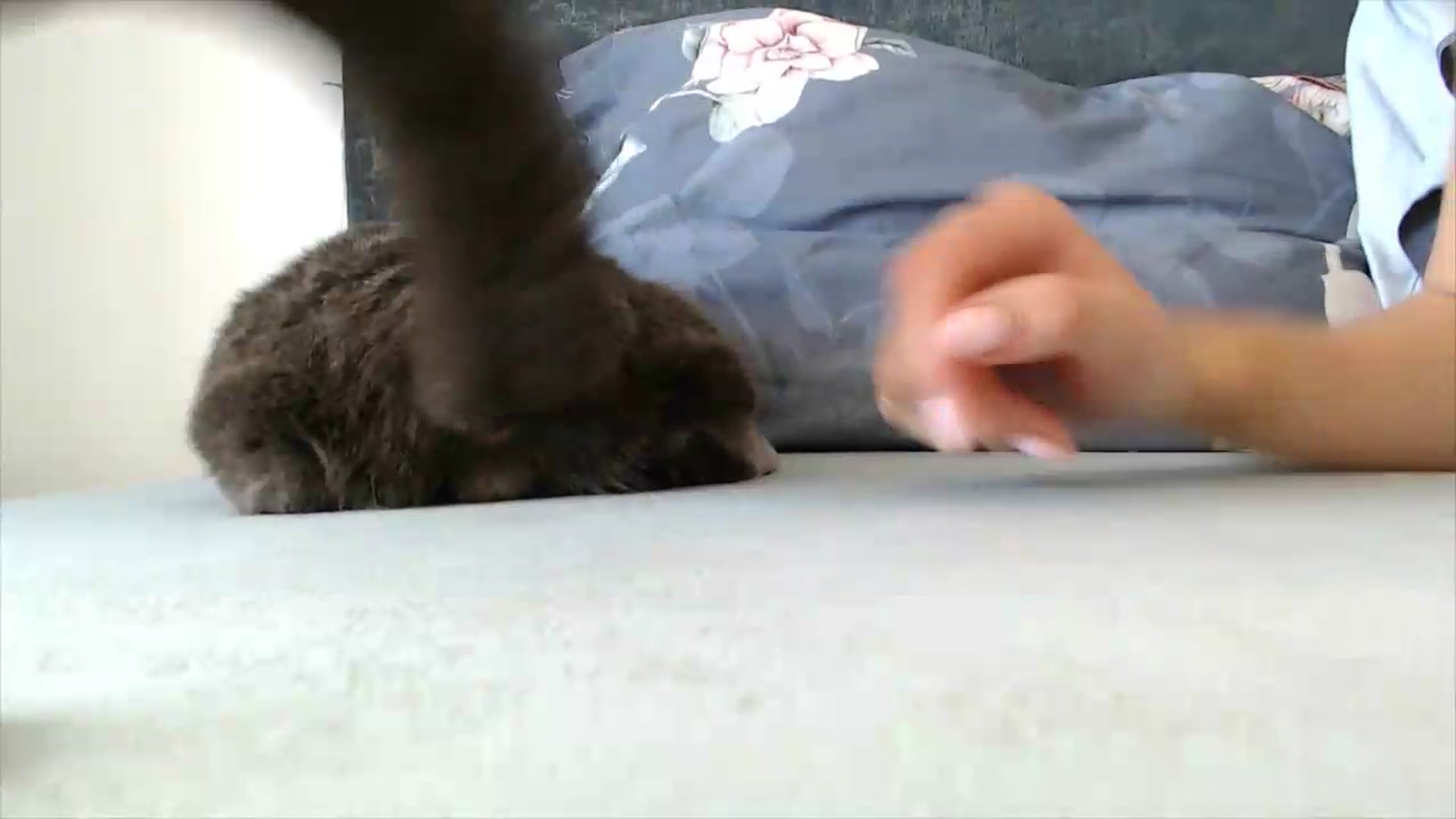 Gallery image thumbnail from fiancee's myfreecams stream on, 06/19/2026, 05:27 image 14 of 20