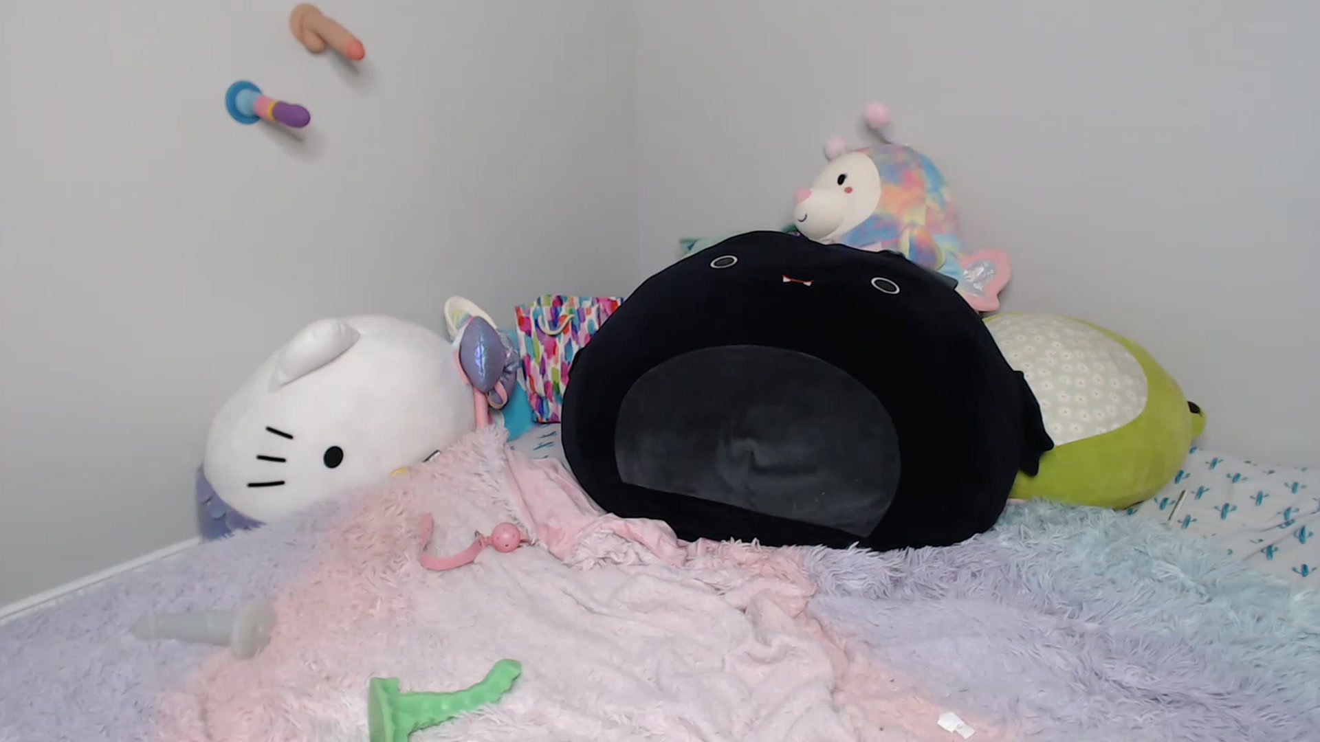 Gallery image thumbnail from fionafawn's myfreecams stream on, 12/02/2022, 17:56 image 15 of 20