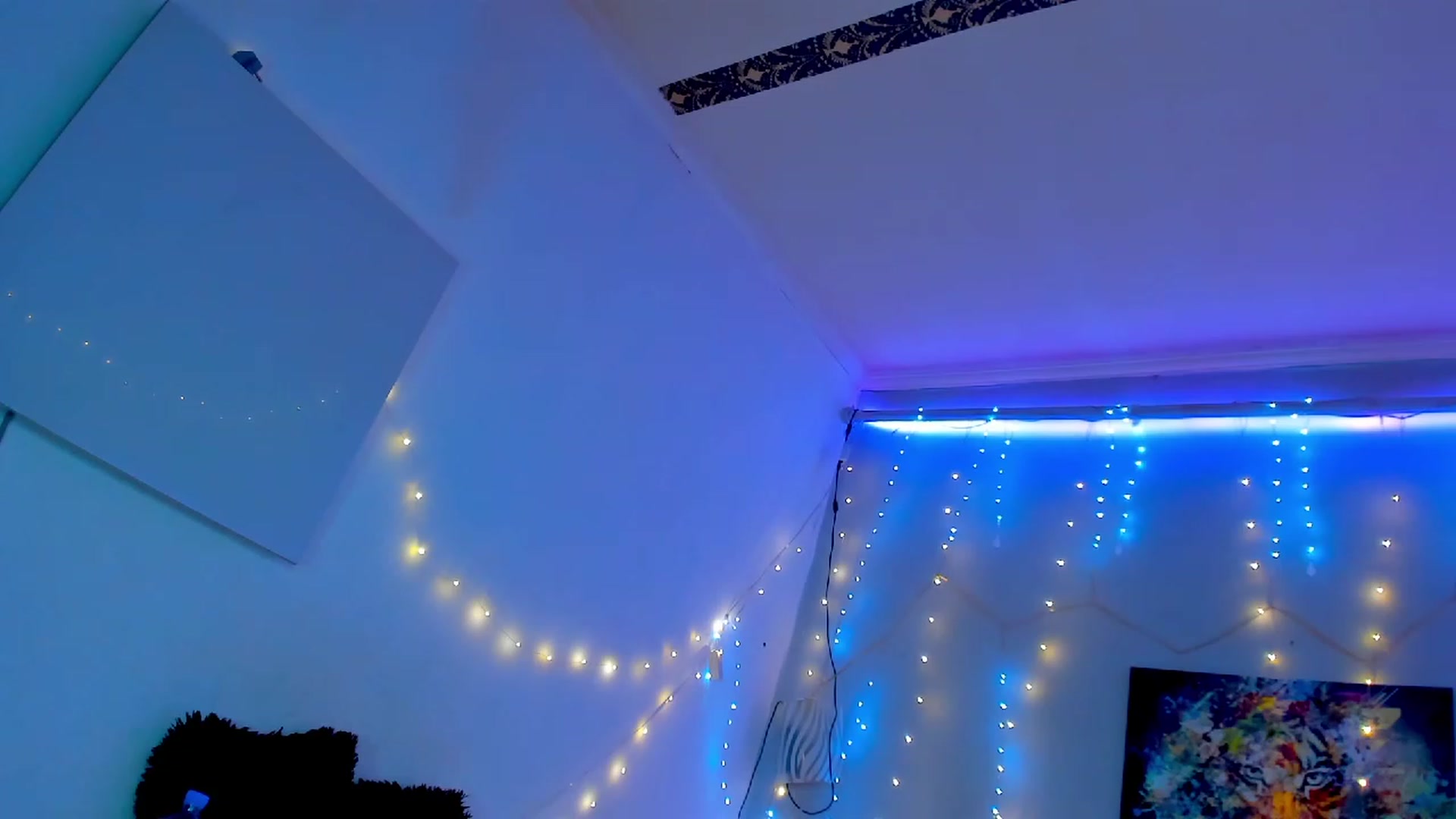 Gallery image thumbnail from fkngBADbitch's myfreecams stream on, 12/24/2023, 20:42 image 10 of 20