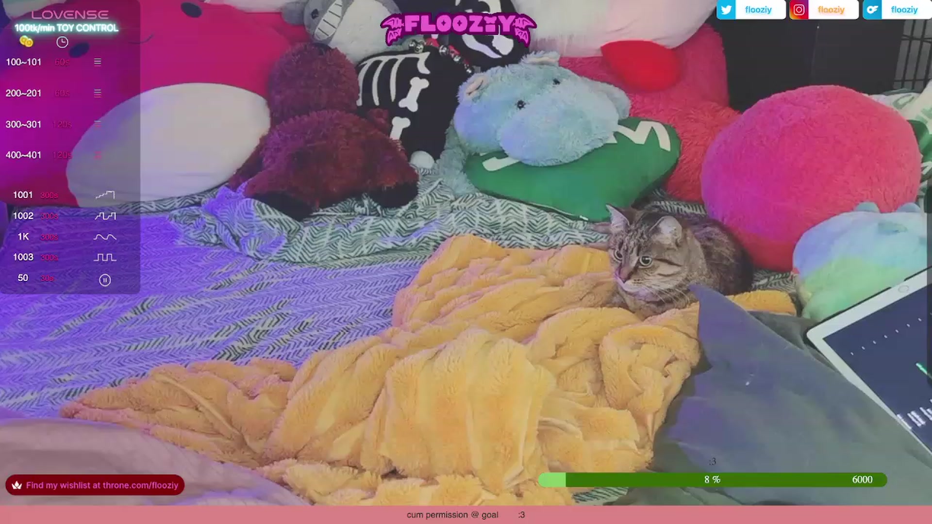 Gallery image thumbnail from flooziy's myfreecams stream on, 09/13/2023, 06:05 image 15 of 20