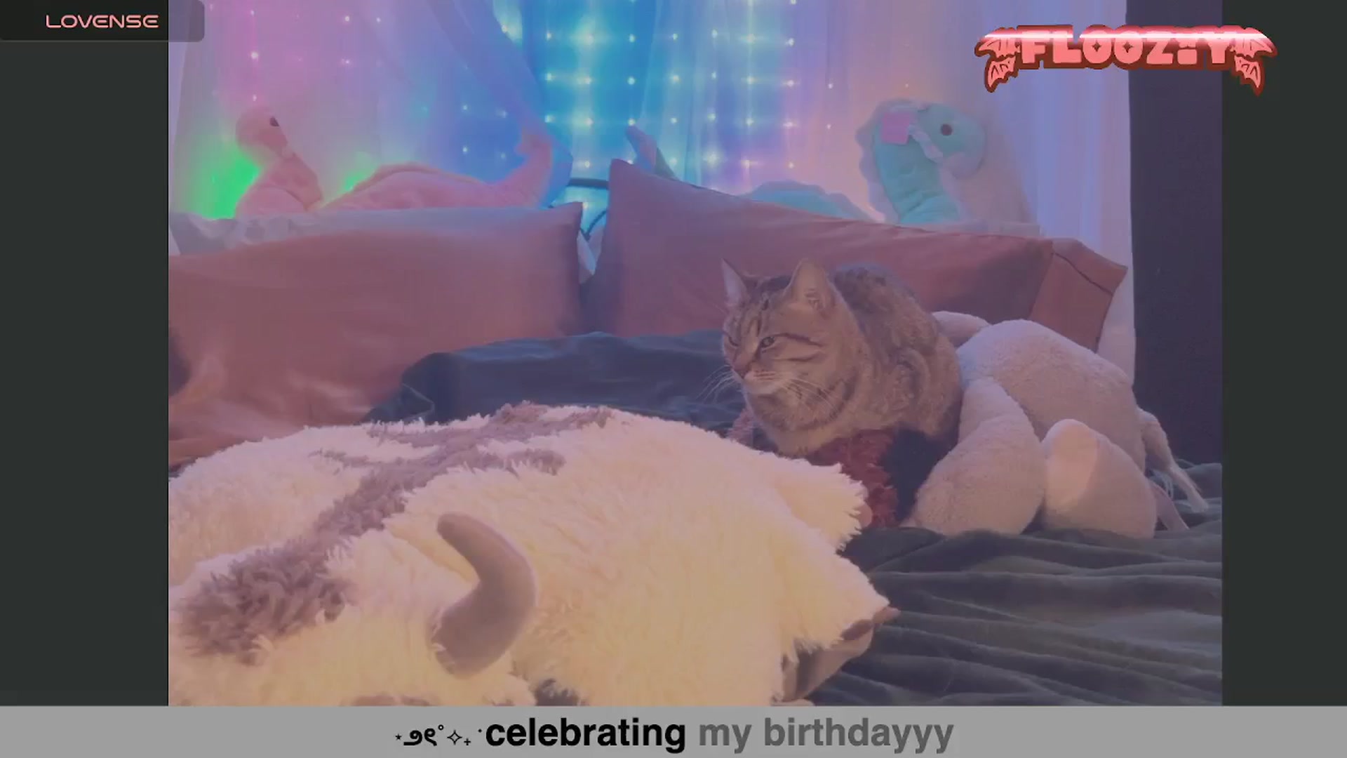 Gallery image thumbnail from flooziy's myfreecams stream on, 07/16/2024, 03:20 image 1 of 20