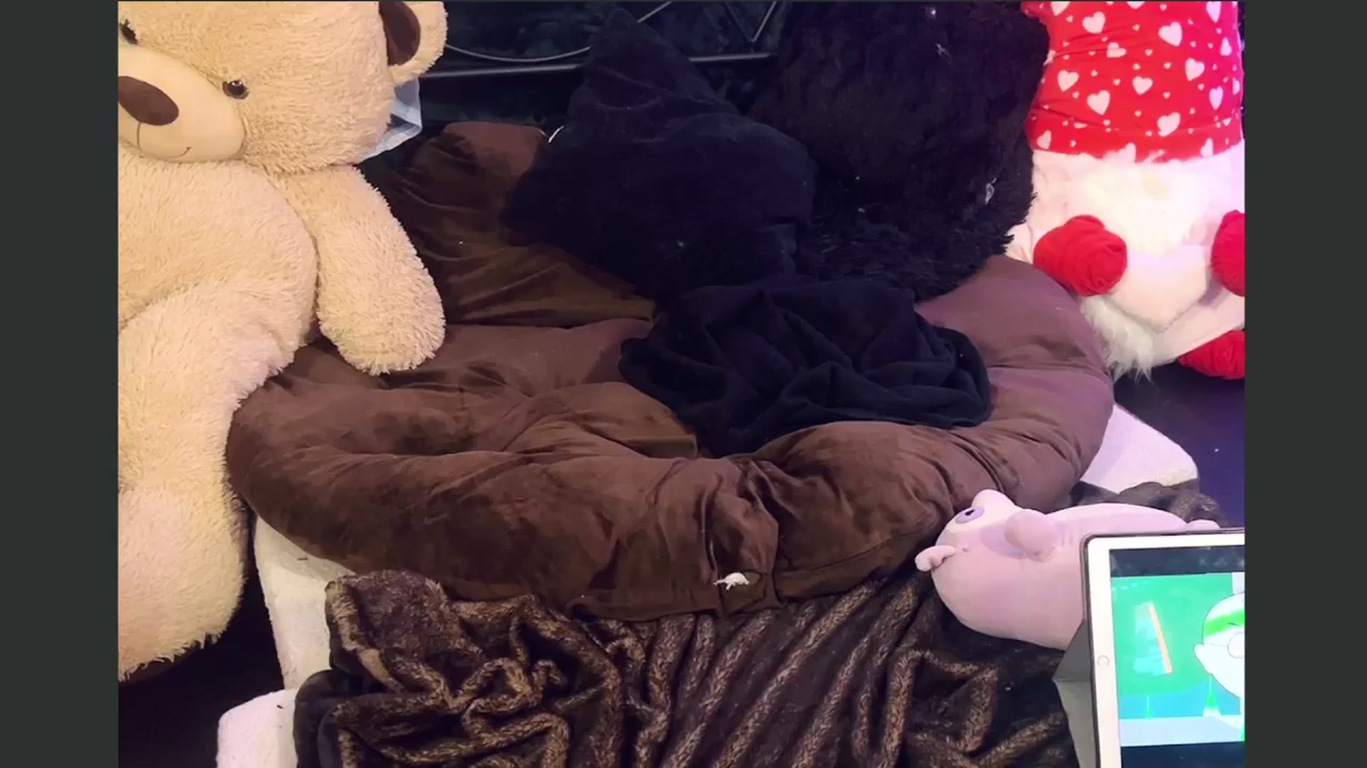 Gallery image thumbnail from flooziy's myfreecams stream on, 10/16/2024, 06:00 image 7 of 20