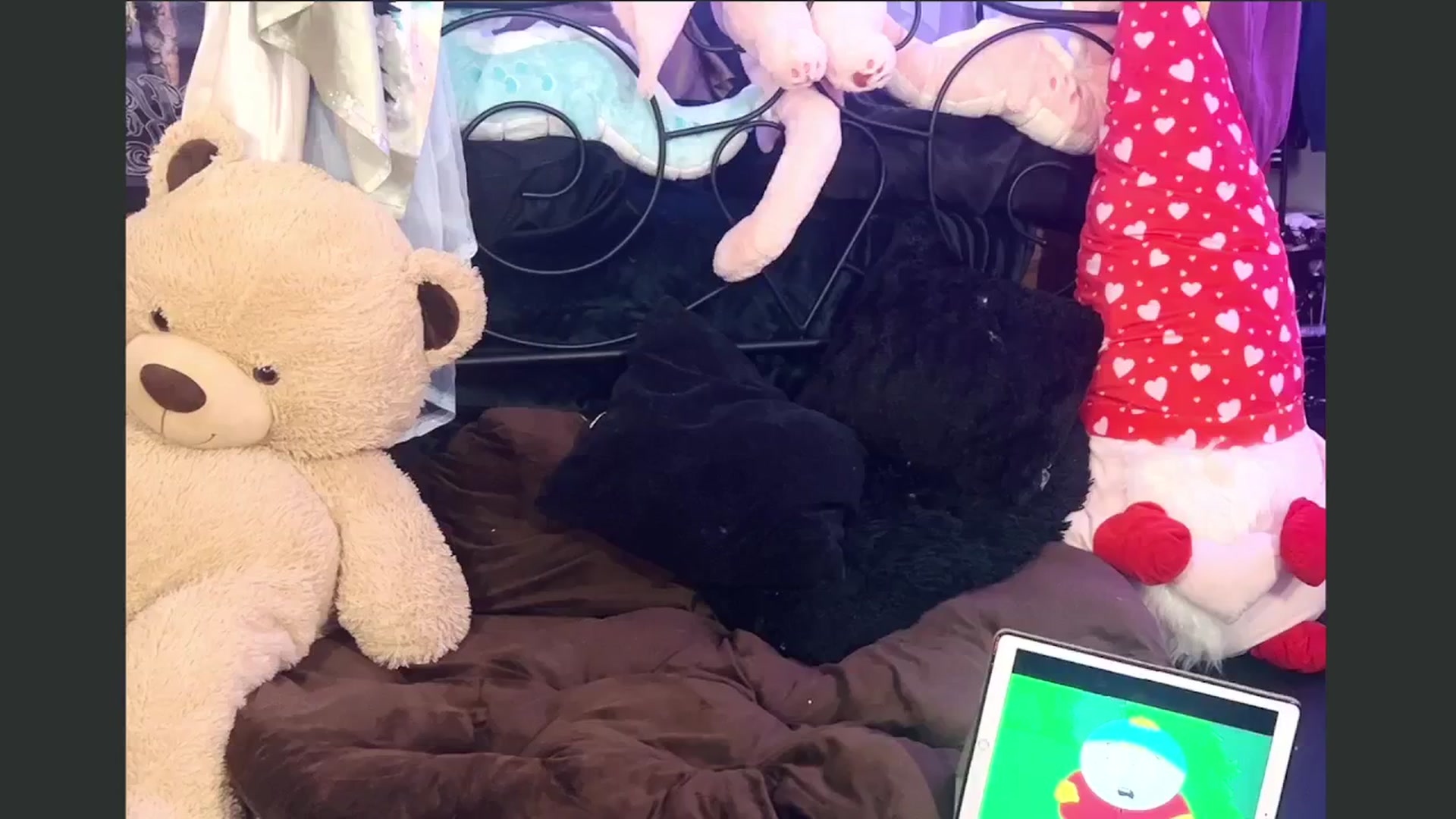 Gallery image thumbnail from flooziy's myfreecams stream on, 10/16/2024, 07:00 image 18 of 20