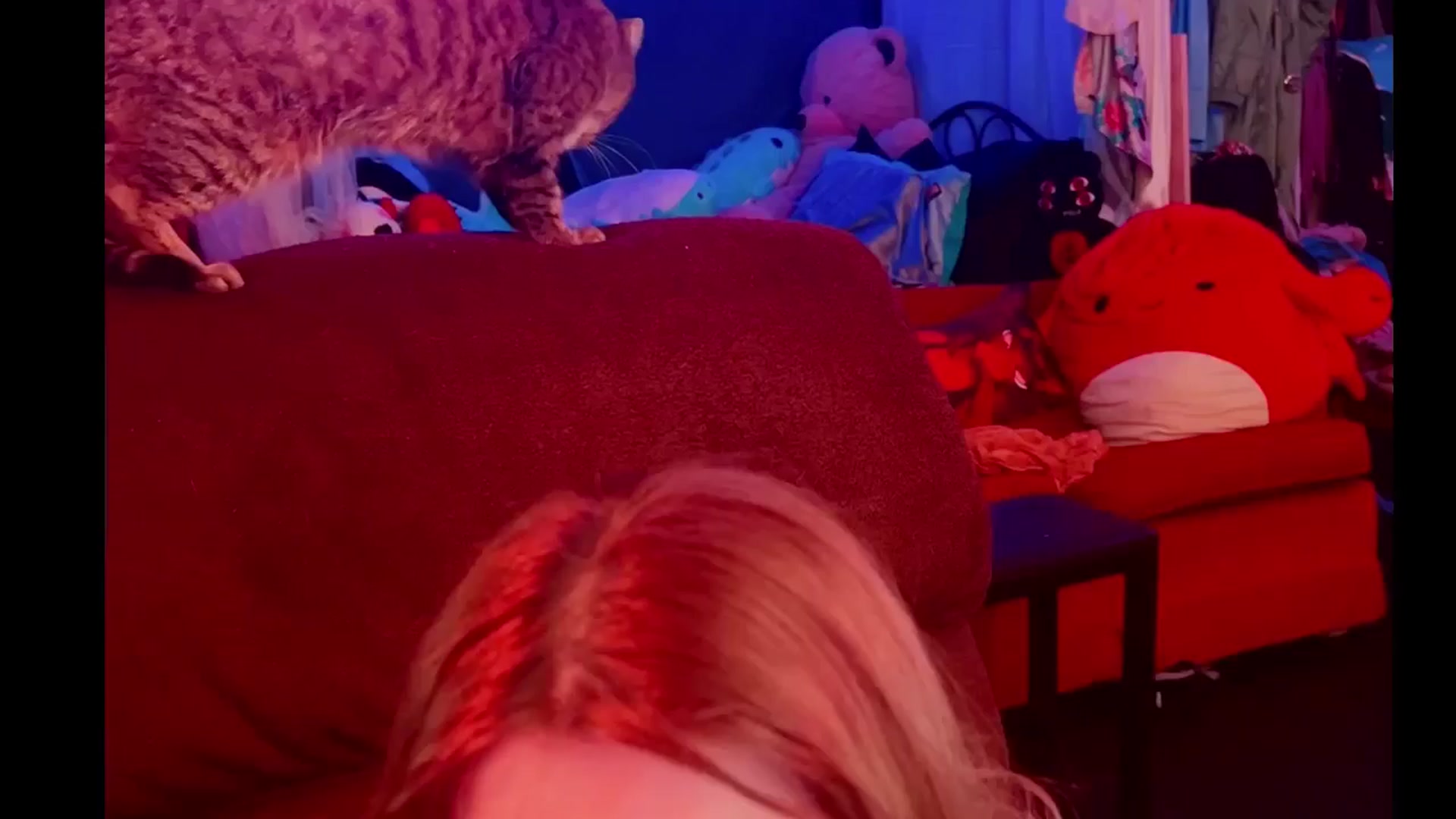 Gallery image thumbnail from flooziy's myfreecams stream on, 01/15/2025, 12:57 image 17 of 20