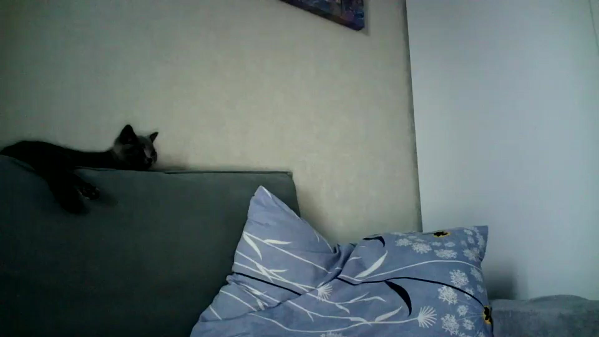 Gallery image thumbnail from flower_girll's myfreecams stream on, 11/28/2024, 13:30 image 13 of 20