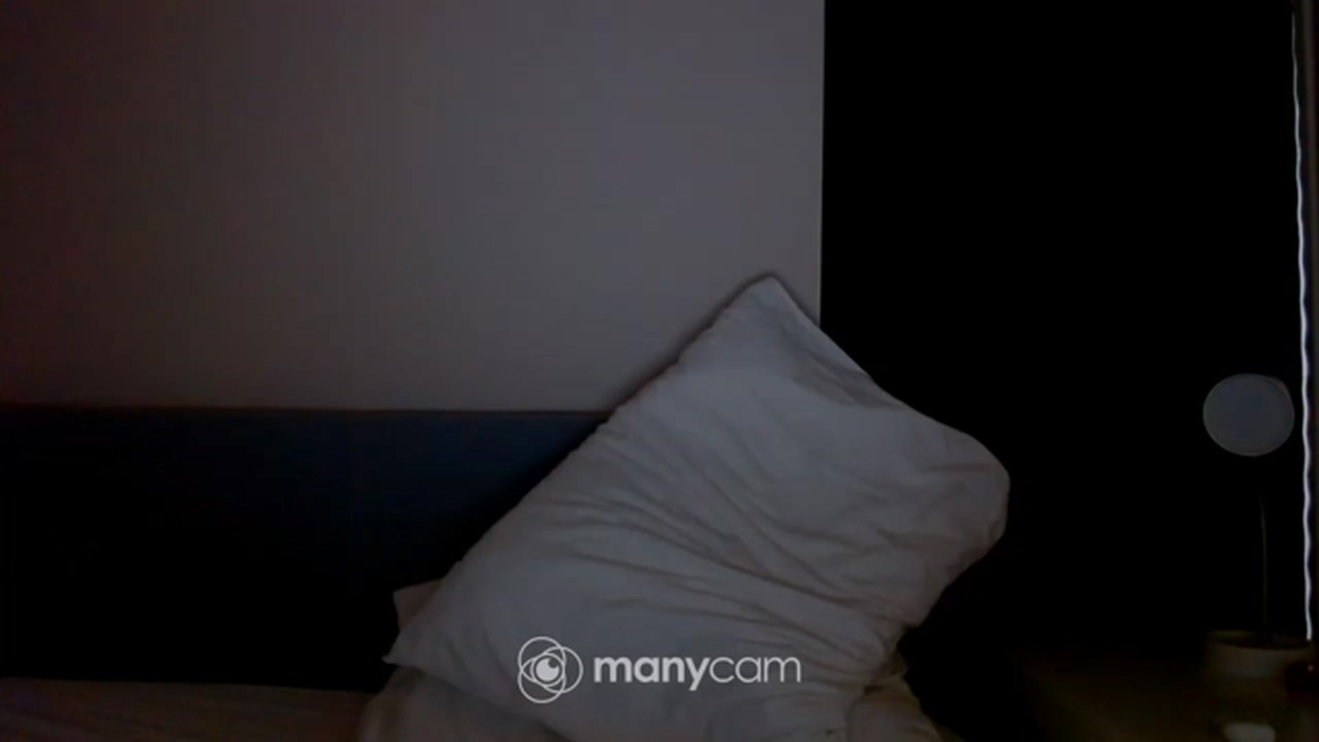Gallery image thumbnail from fresagirl's myfreecams stream on, 06/09/2023, 19:11 image 20 of 20